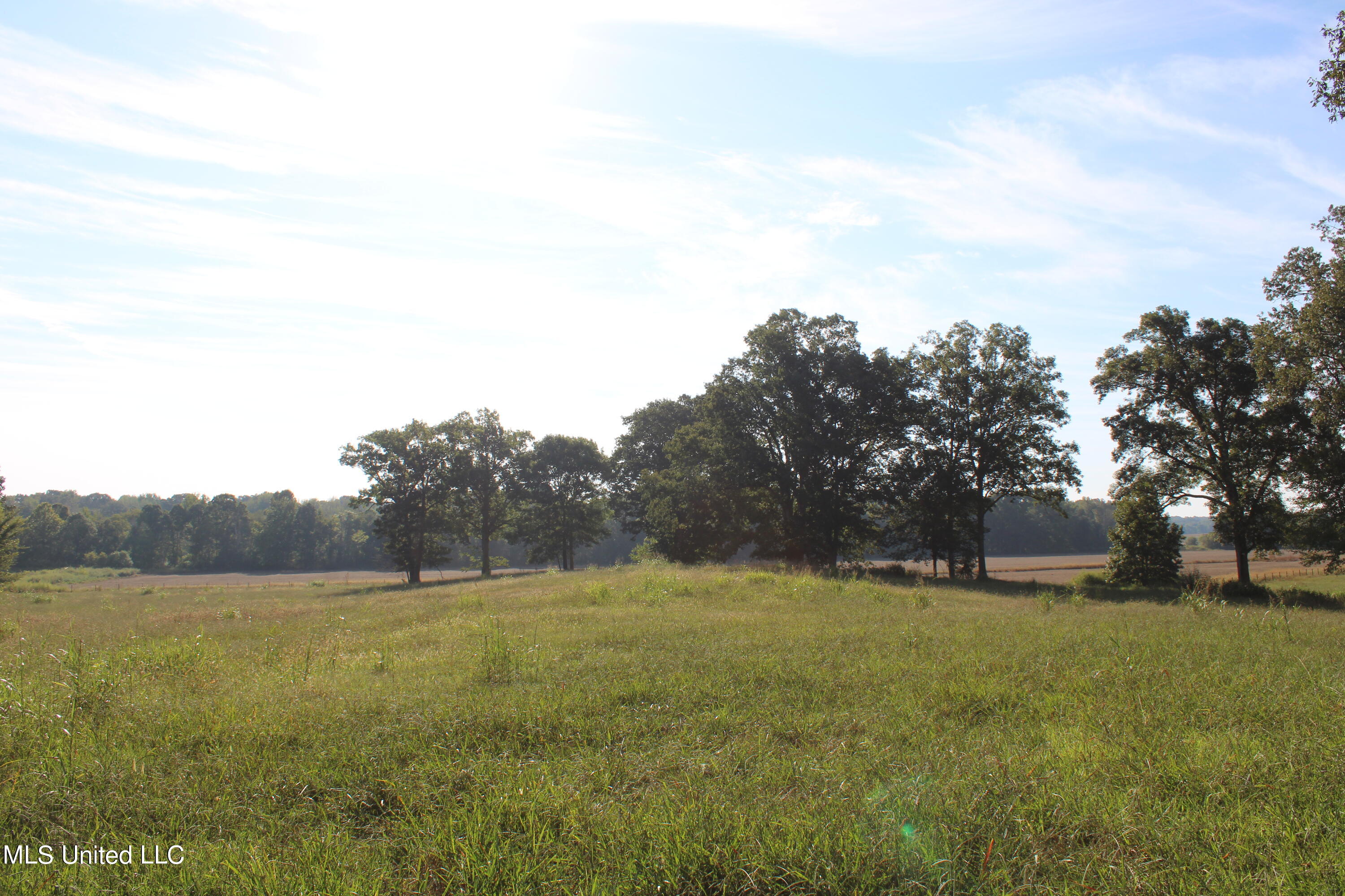 480 Myers Road, Byhalia, Mississippi image 18