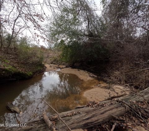 Vacant Land For Sale - Christian Hts Road<br/> Braxton, MS 39044