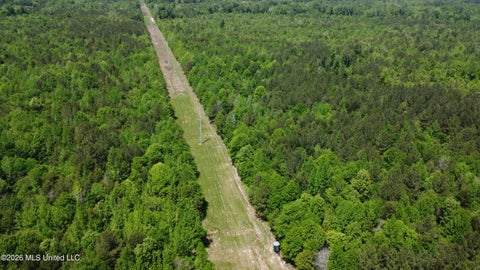 Vacant Land For Sale - Christian Hts Road<br/> Braxton, MS 39044