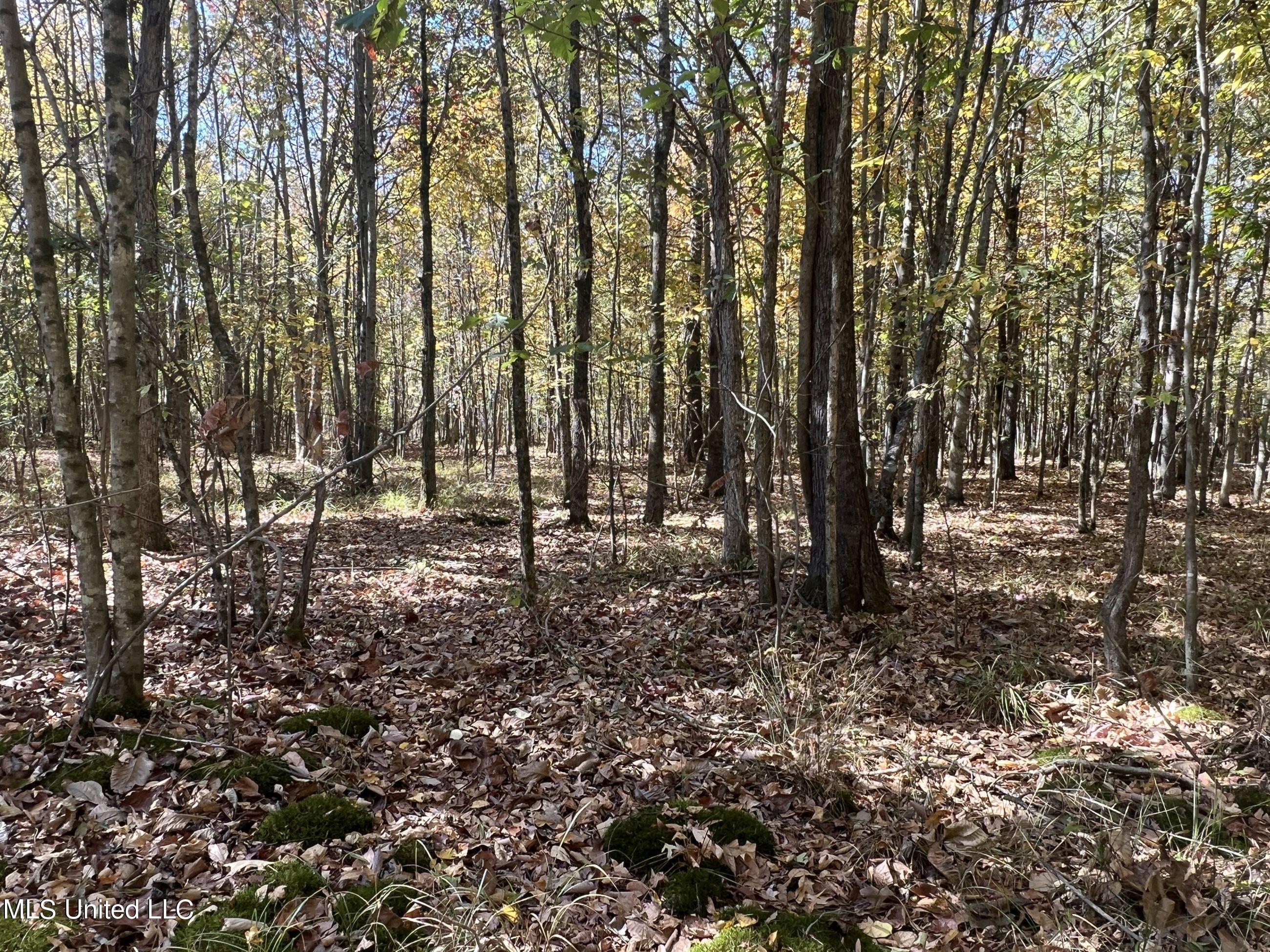 5177-B Nash Road, Batesville, Mississippi image 38