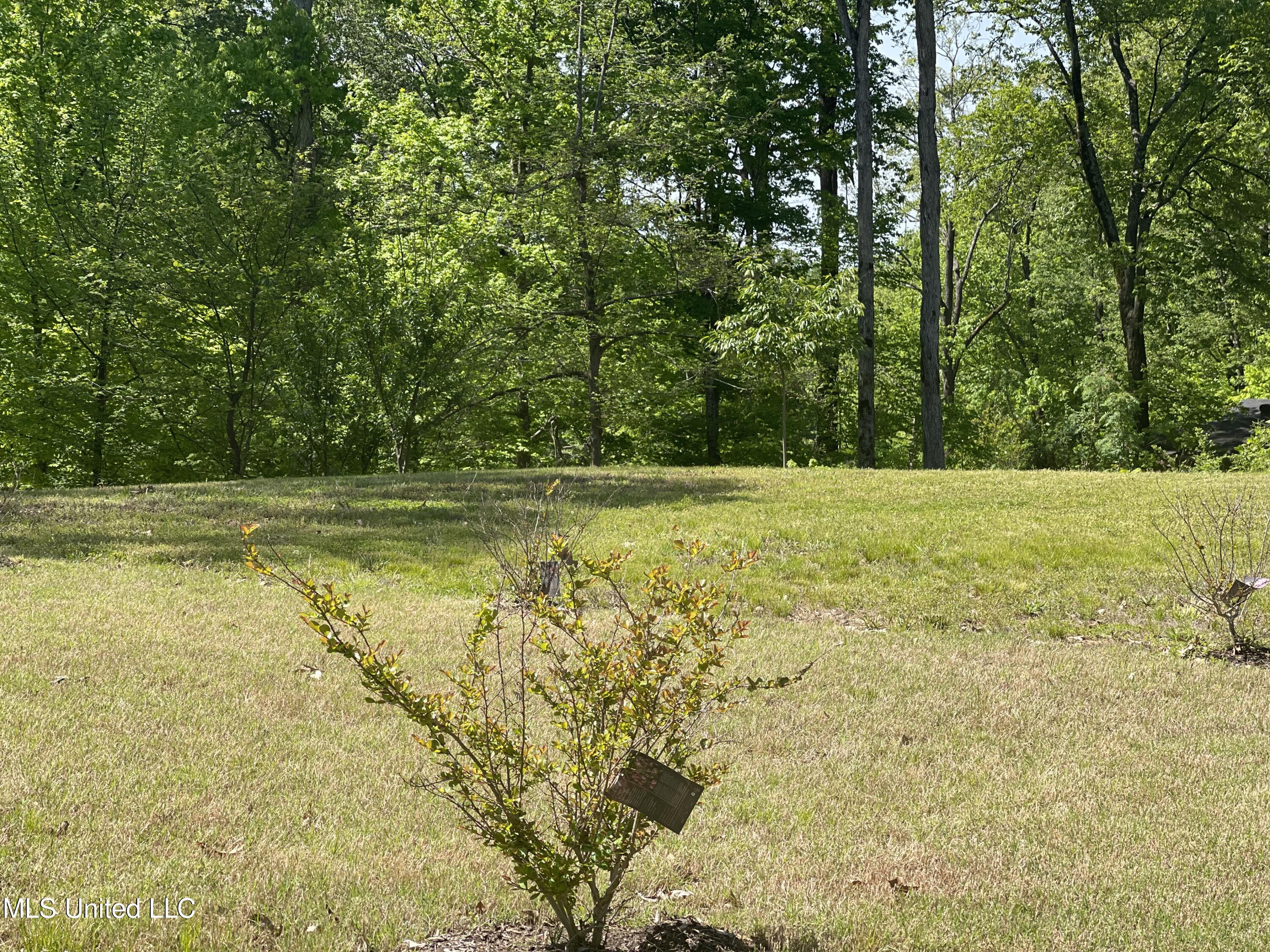 1930 Konawa Road, Hernando, Mississippi image 17