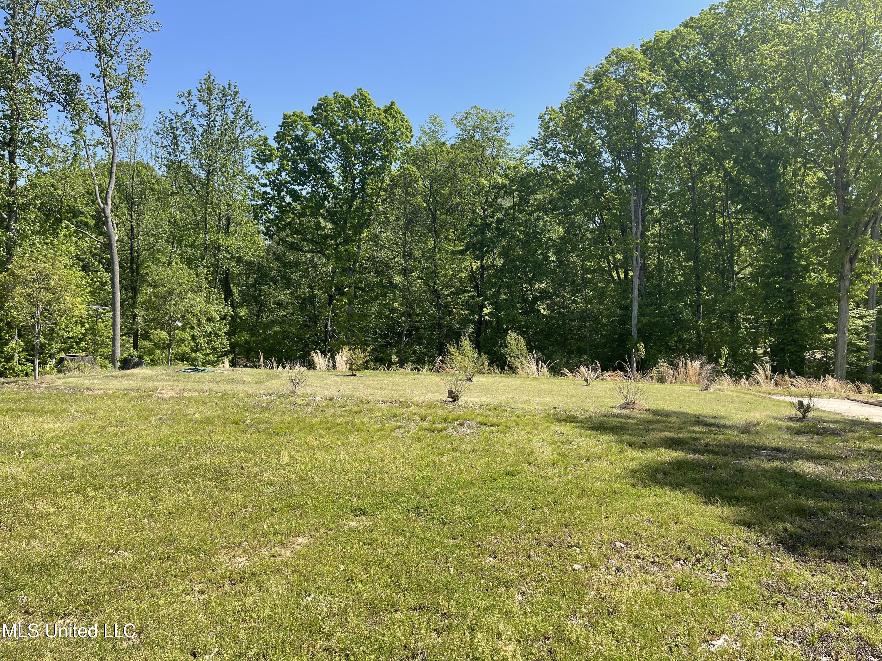 1930 Konawa Road, Hernando, Mississippi image 3