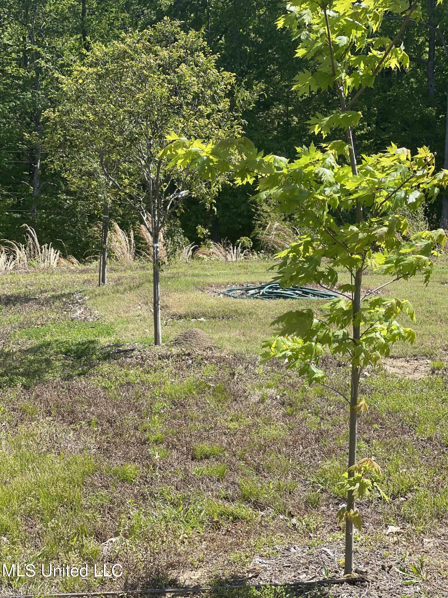 1930 Konawa Road, Hernando, Mississippi image 9