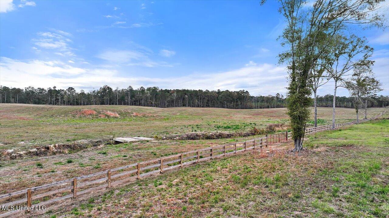 Hwy-25 N, Carthage, Mississippi image 26