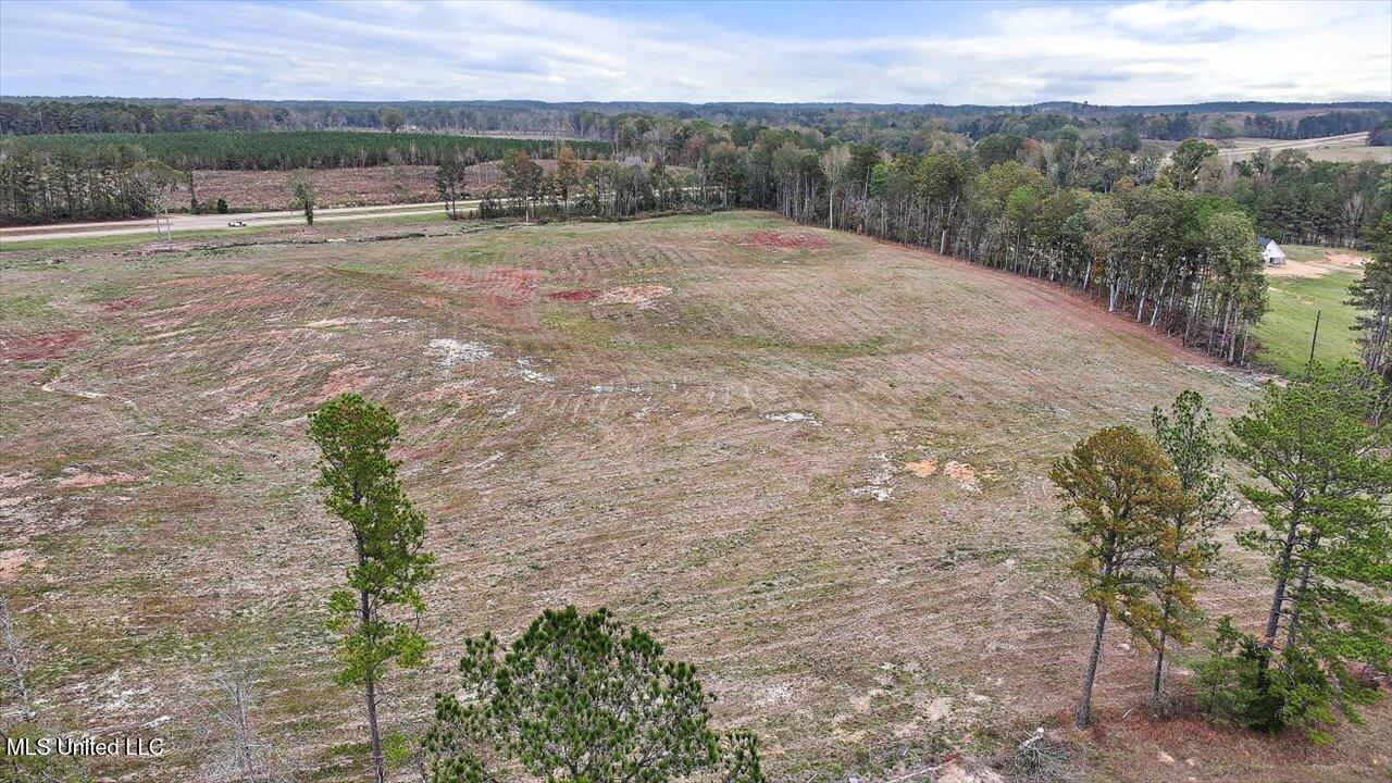 Hwy-25 N, Carthage, Mississippi image 6