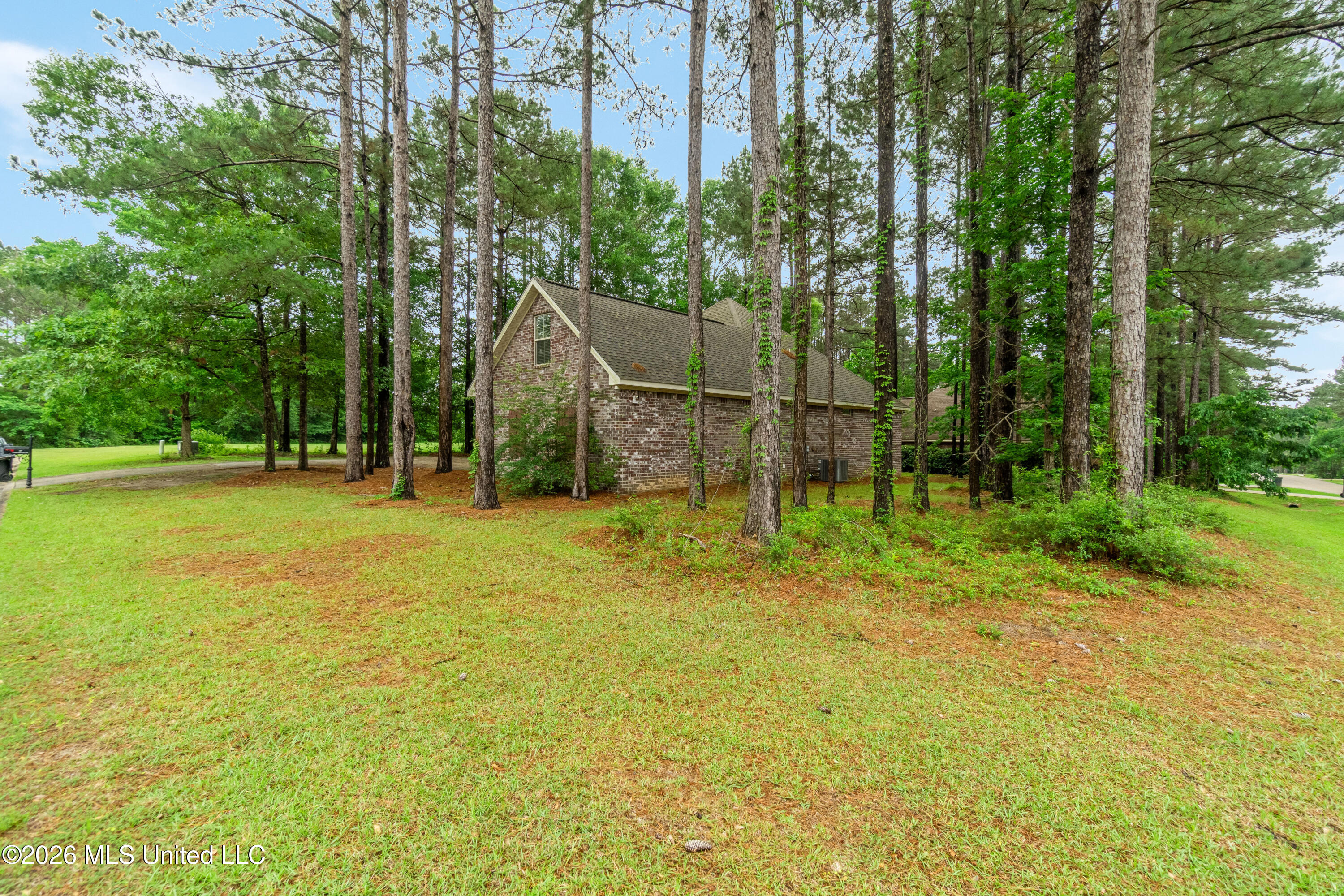 59 Lamplighter Lane