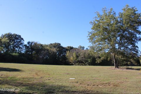 Vacant Land For Sale - 81 Bull Horn Road<br/> Panola County, Como, MS 38619