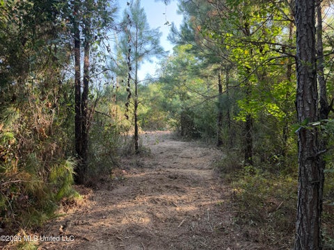 Vacant Land For Sale - Ms-570<br/> Summit, MS 39666