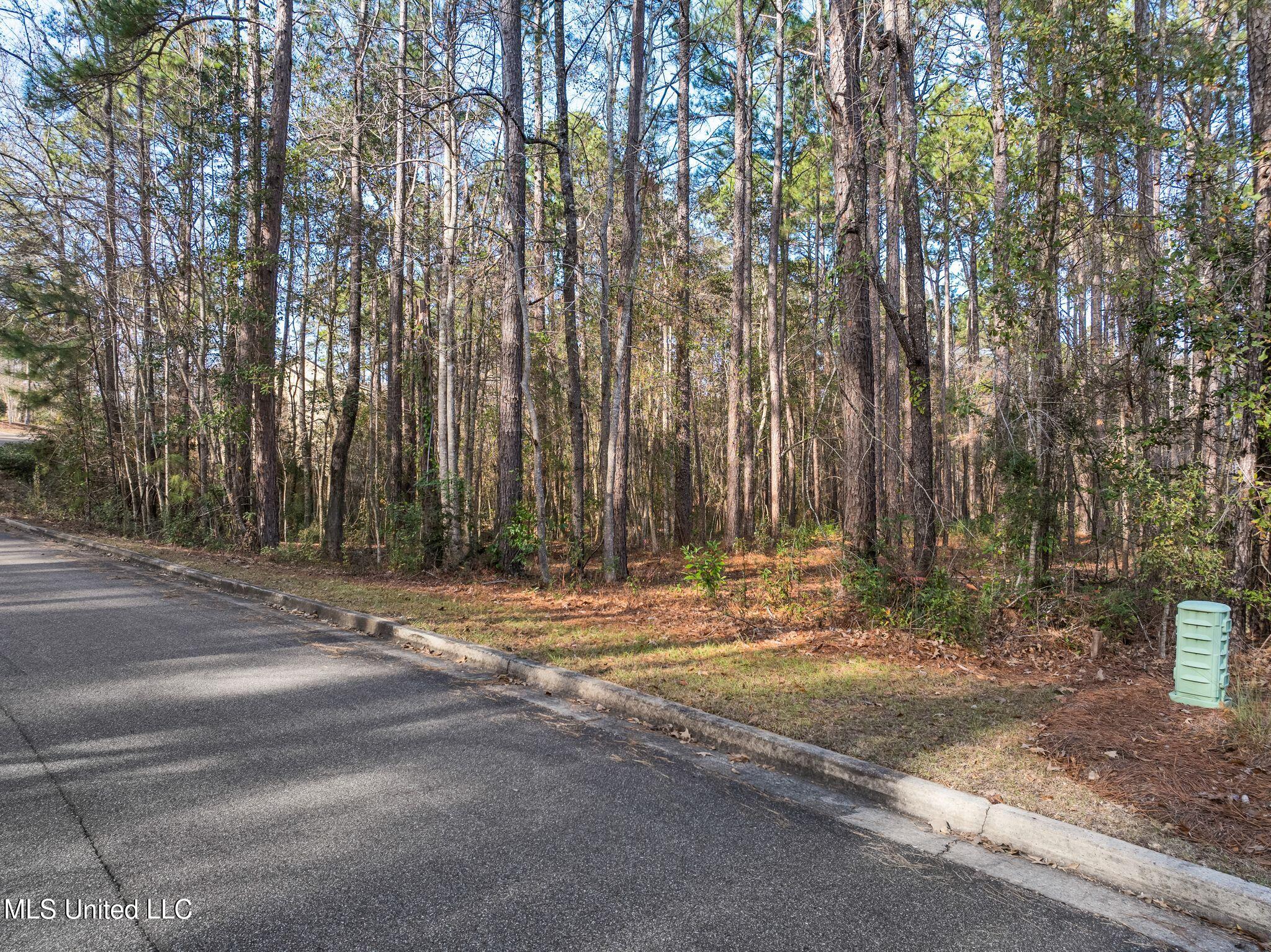 Lot 11 Marais Ridge, Hattiesburg, Mississippi image 1