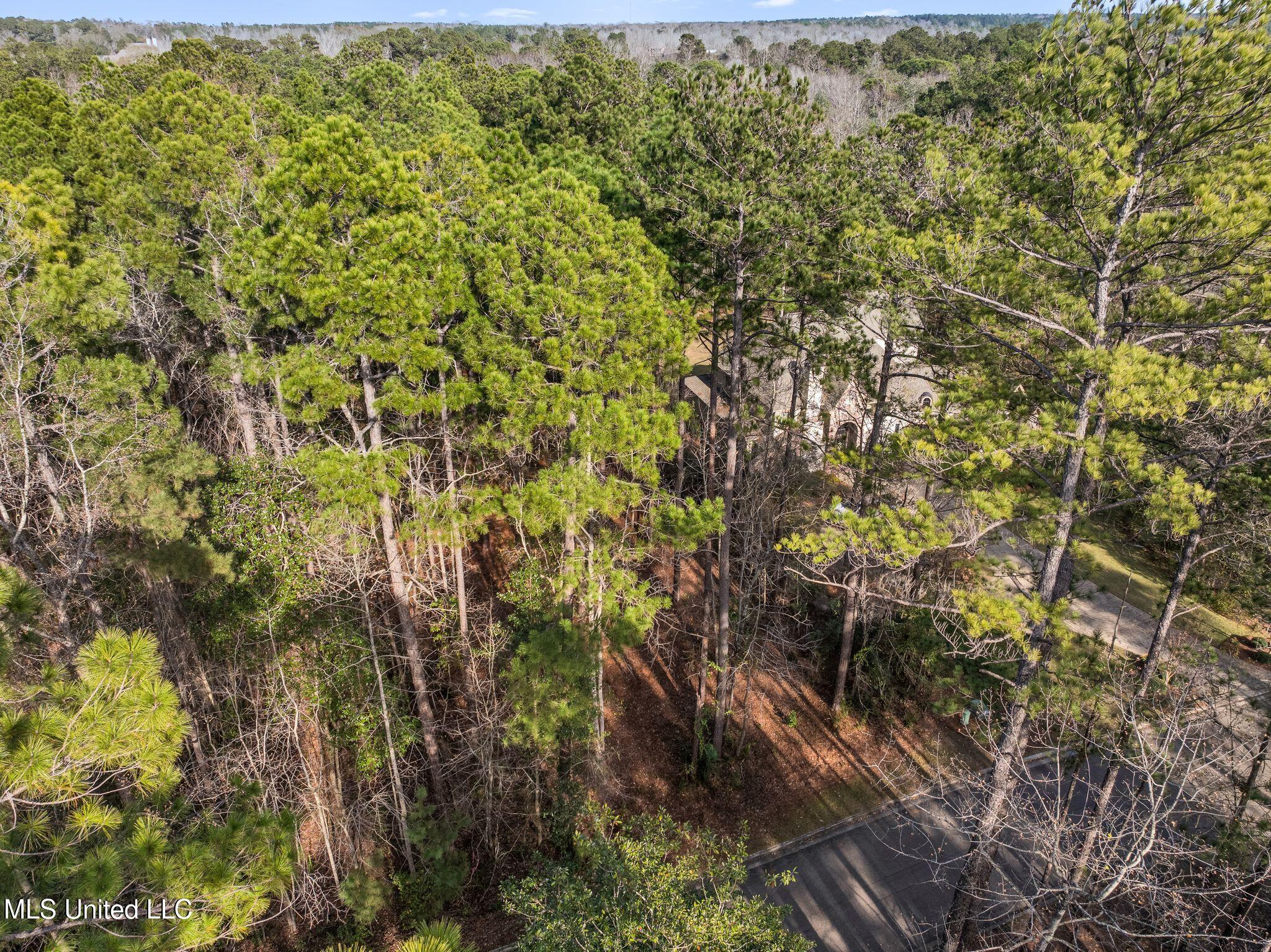 Lot 11 Marais Ridge, Hattiesburg, Mississippi image 6