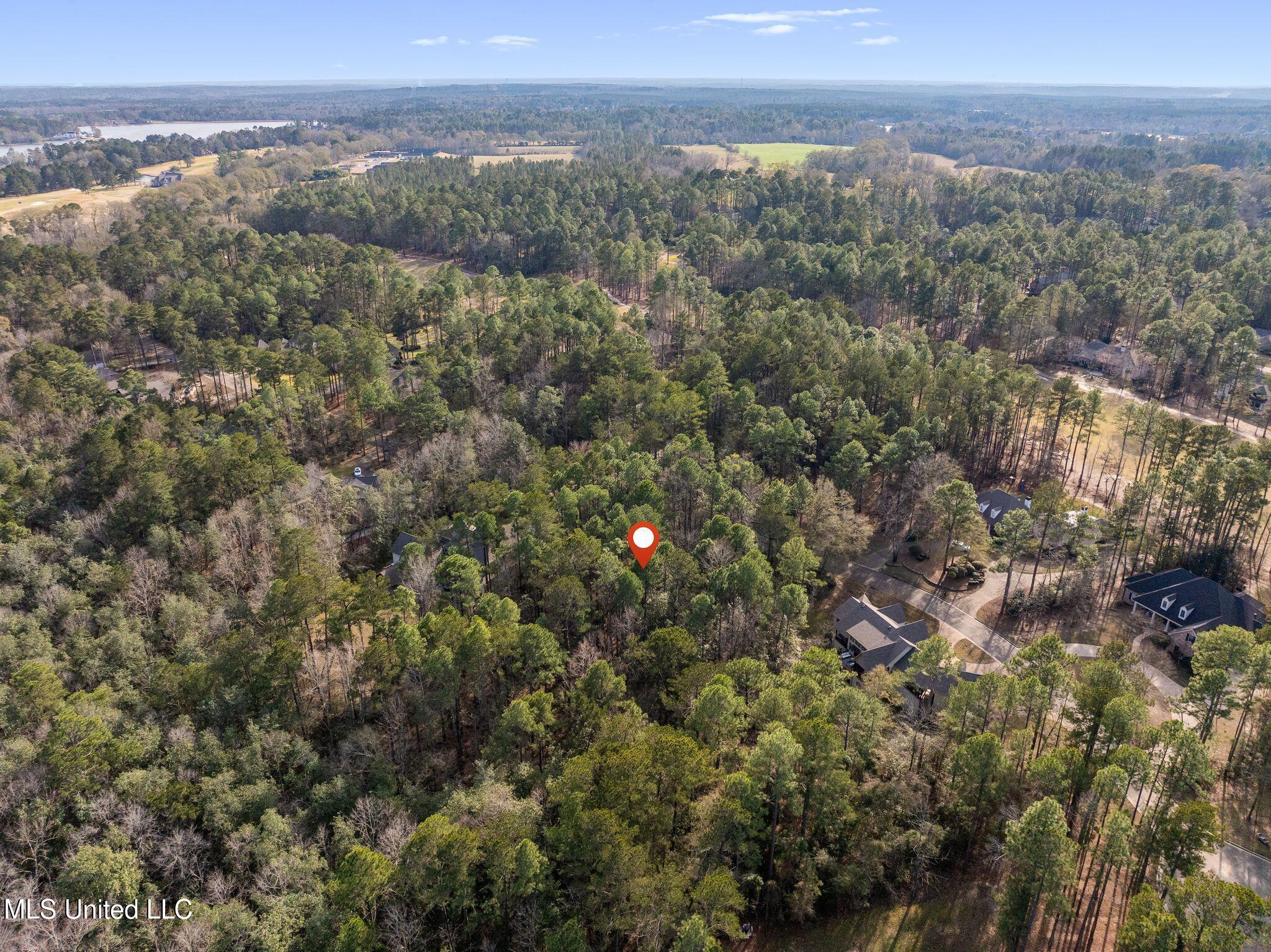 Lot 11 Marais Ridge, Hattiesburg, Mississippi image 12