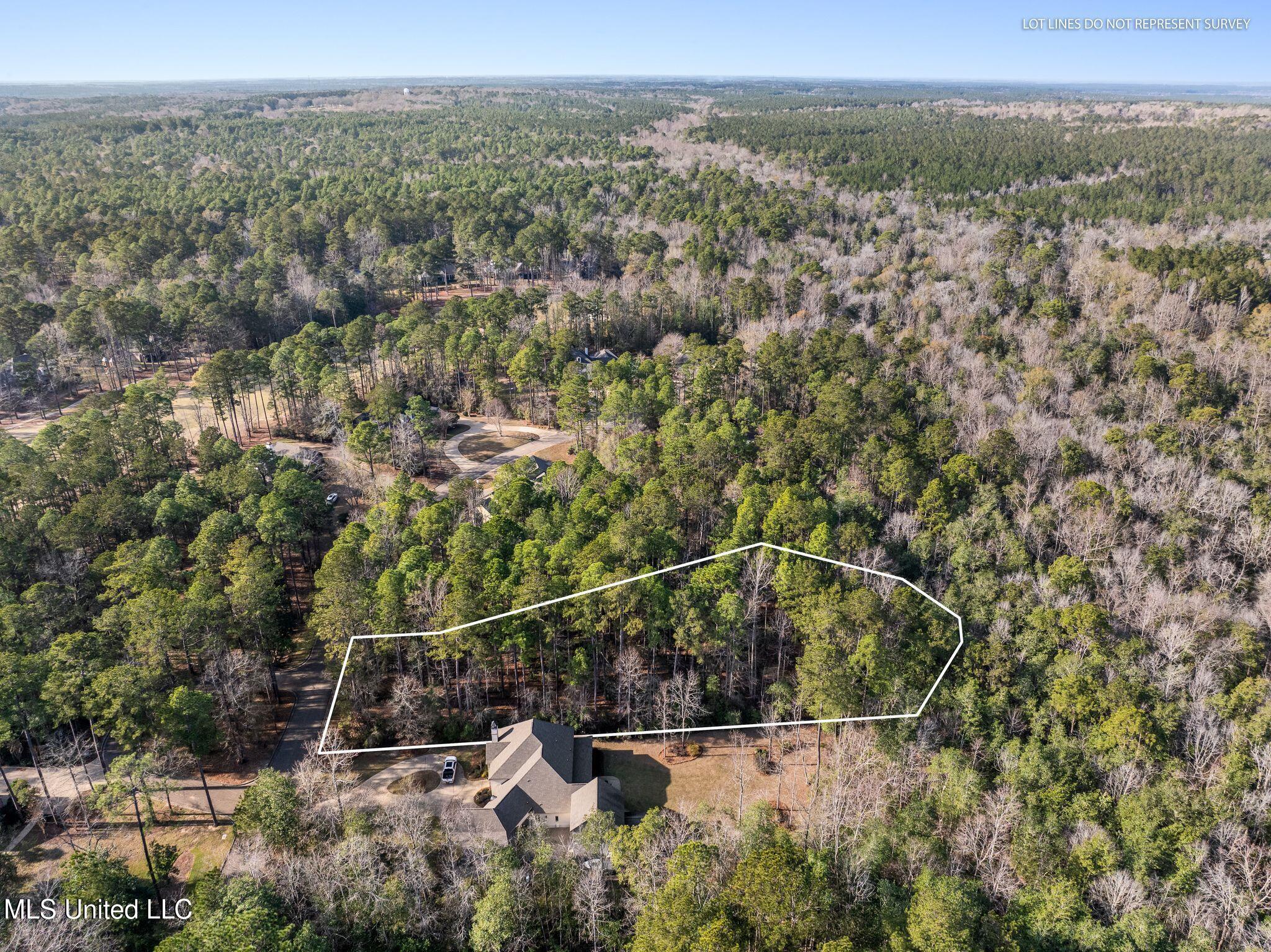 Lot 11 Marais Ridge, Hattiesburg, Mississippi image 3