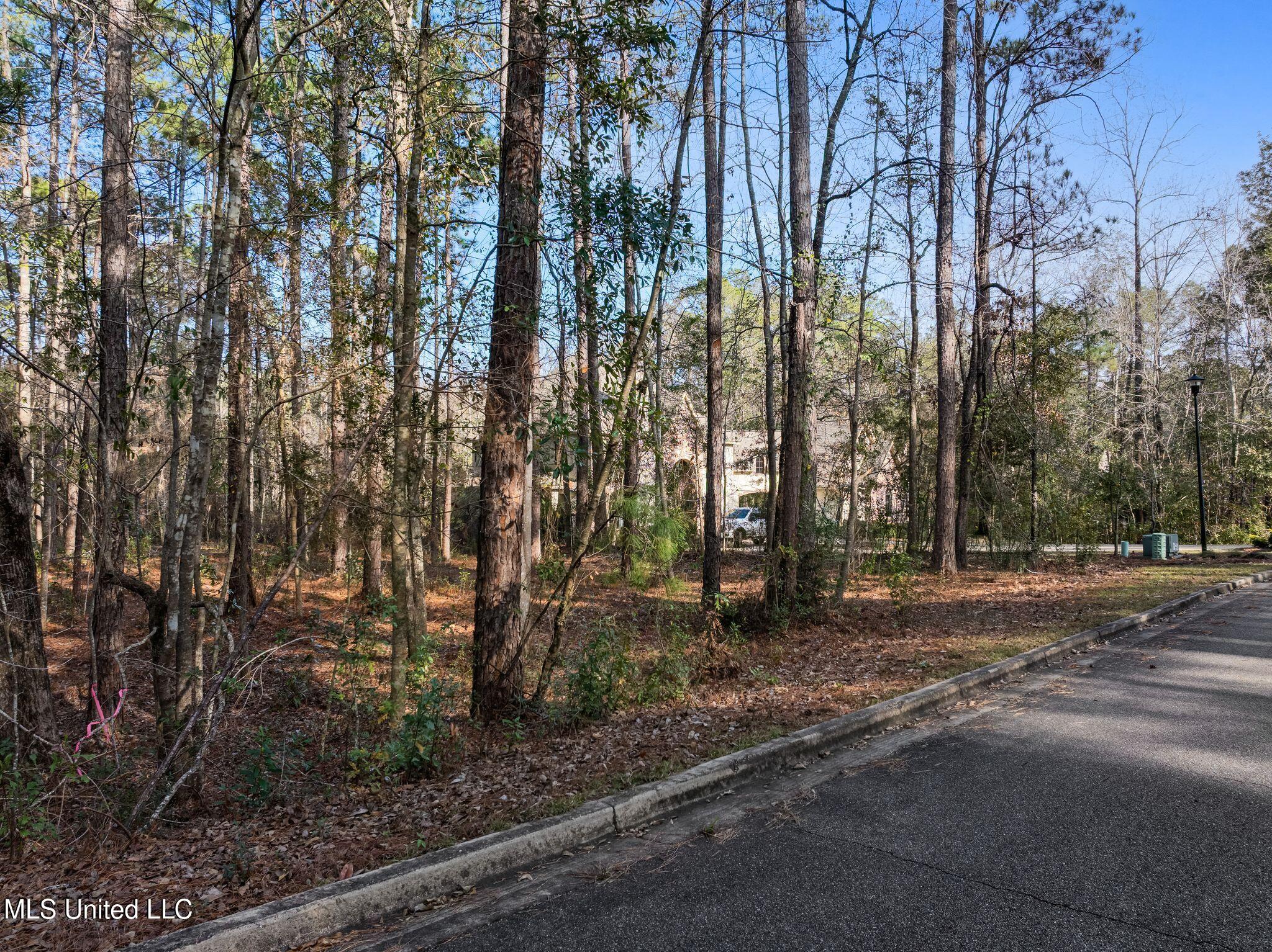 Lot 11 Marais Ridge, Hattiesburg, Mississippi image 4