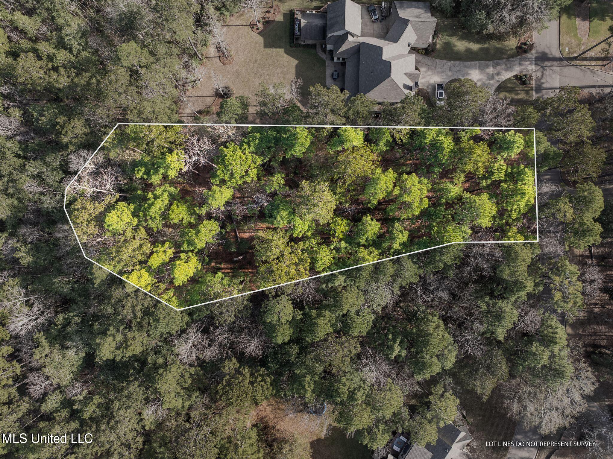 Lot 11 Marais Ridge, Hattiesburg, Mississippi image 2