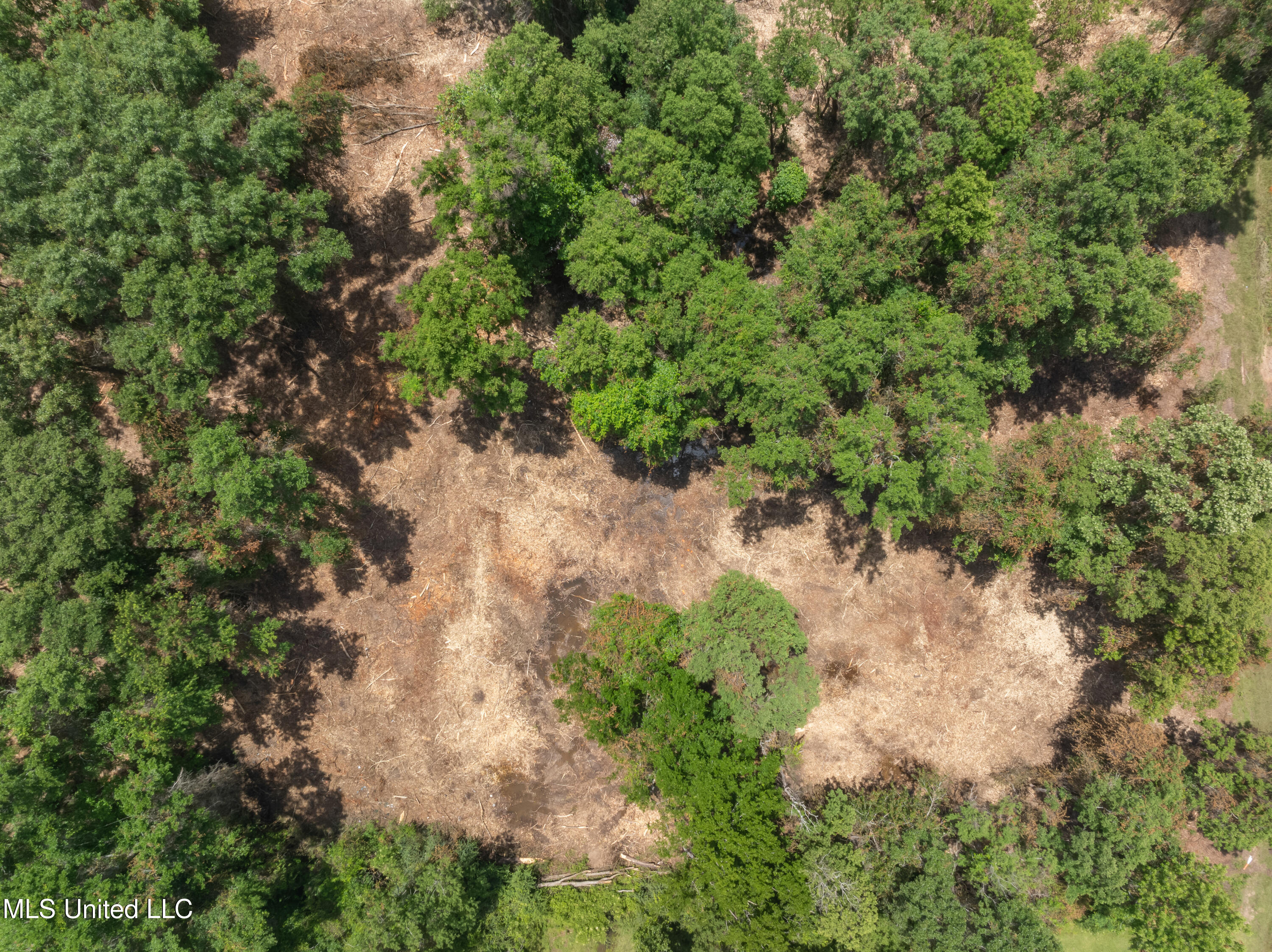 3.26 Acres Eatonville Road, Hattiesburg, Mississippi image 15