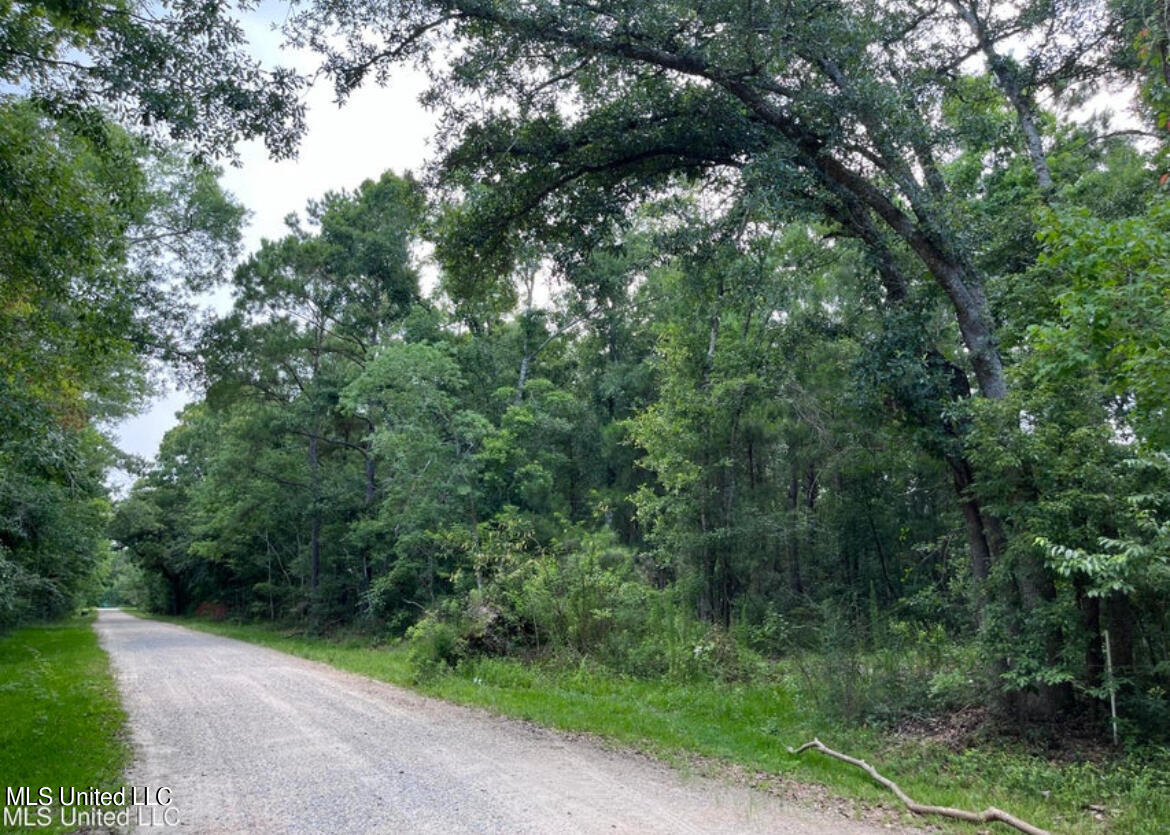 Willow Ridge Street, Waveland, Mississippi image 1