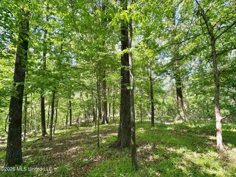 Vacant Land For Sale - Malmaison Road<br/> Carroll County, Carrollton, MS 38917