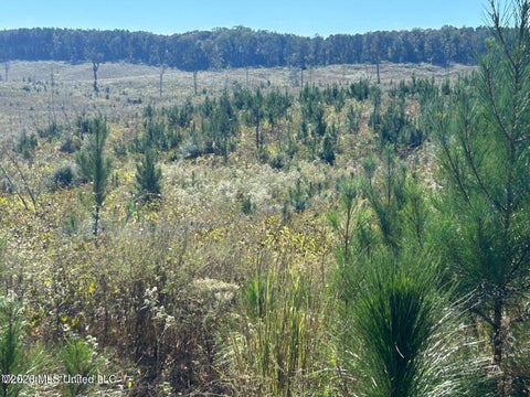Vacant Land For Sale - 80AC Skyline Road<br/> Lauderdale County, Meridian, MS 39301