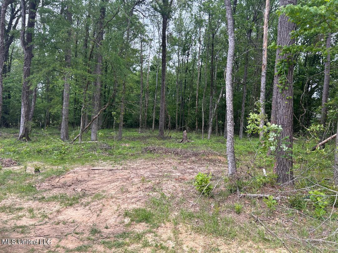 Bridgewater Bend Bend, Ridgeland, Mississippi image 1