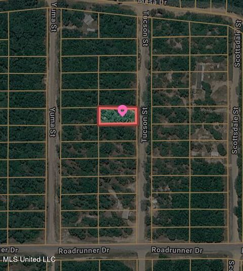 Vacant Land For Sale - 00 Tucson Street<br/> Lumberton, MS 39455