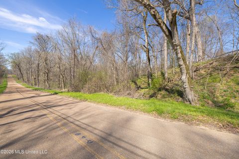 Vacant Land For Sale - Reed Wilson Road<br/> Vicksburg, MS 39183