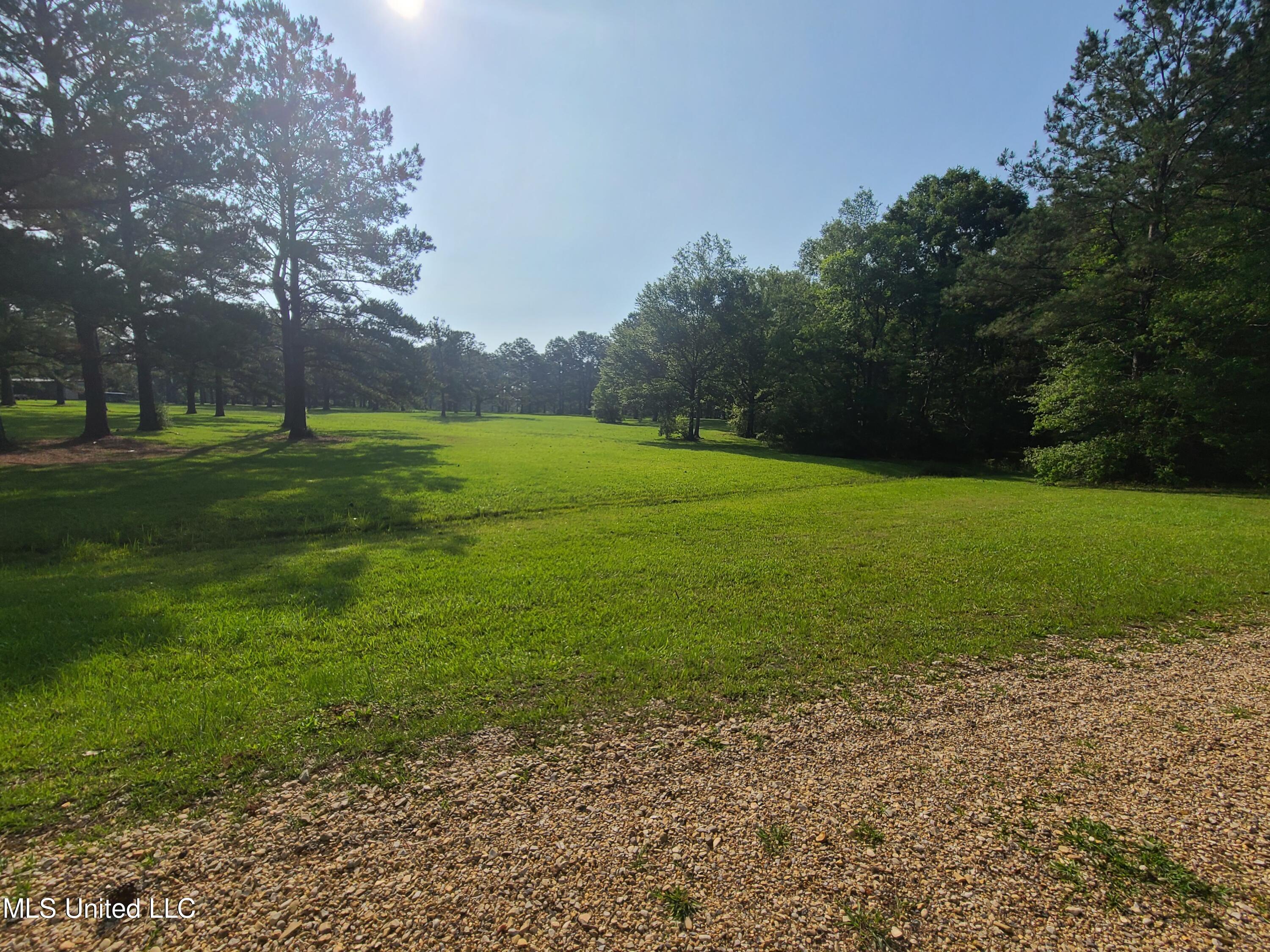 Thompson Lane, Carriere, Mississippi image 2