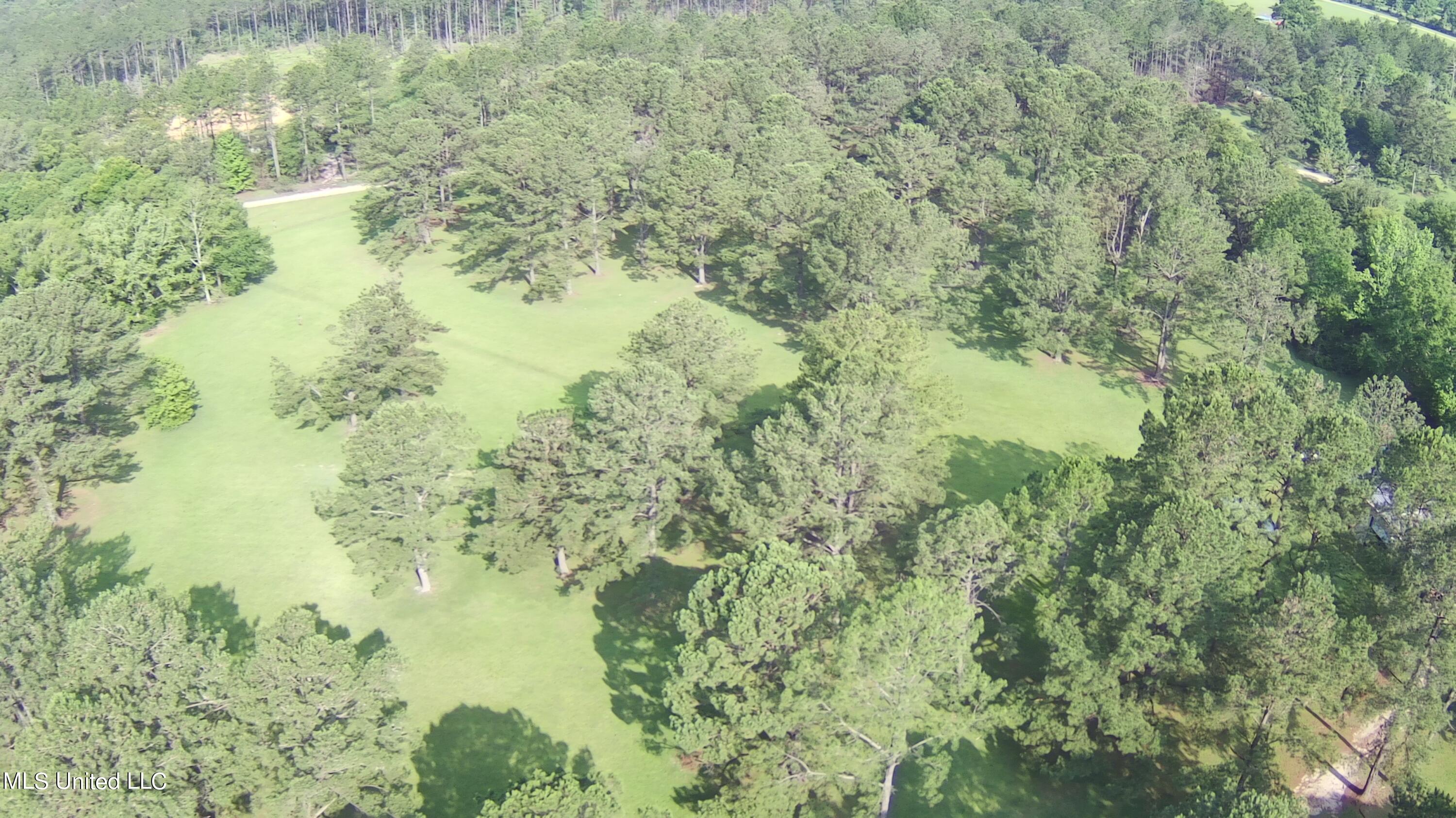 Thompson Lane, Carriere, Mississippi image 9