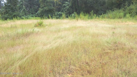 Vacant Land For Sale - 3442 Phelps Road<br/> Panola County, Courtland, MS 38620