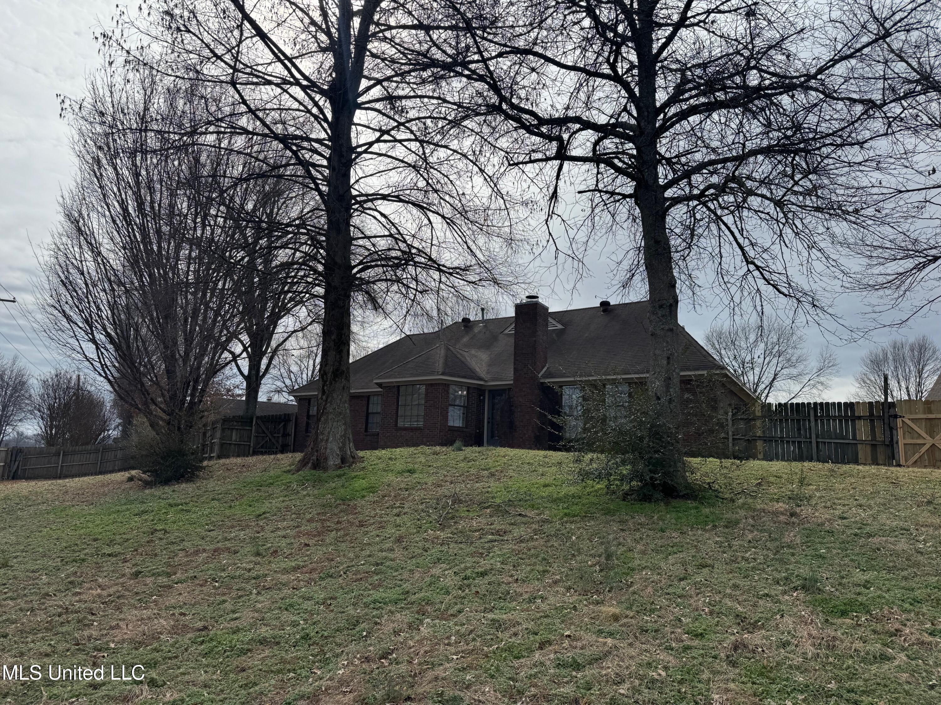 475 Pear Cove, Southaven, Mississippi image 3