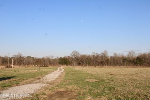 Vacant Land For Sale - 195 Jimmy Lane<br/> Marshall County, Holly Springs, MS 38635
