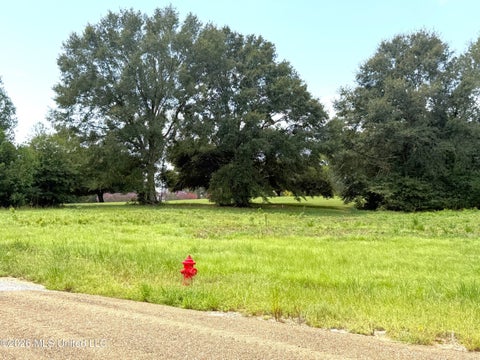 Vacant Land For Sale - Fairway Cove<br/> Pike County, McComb, MS 39648