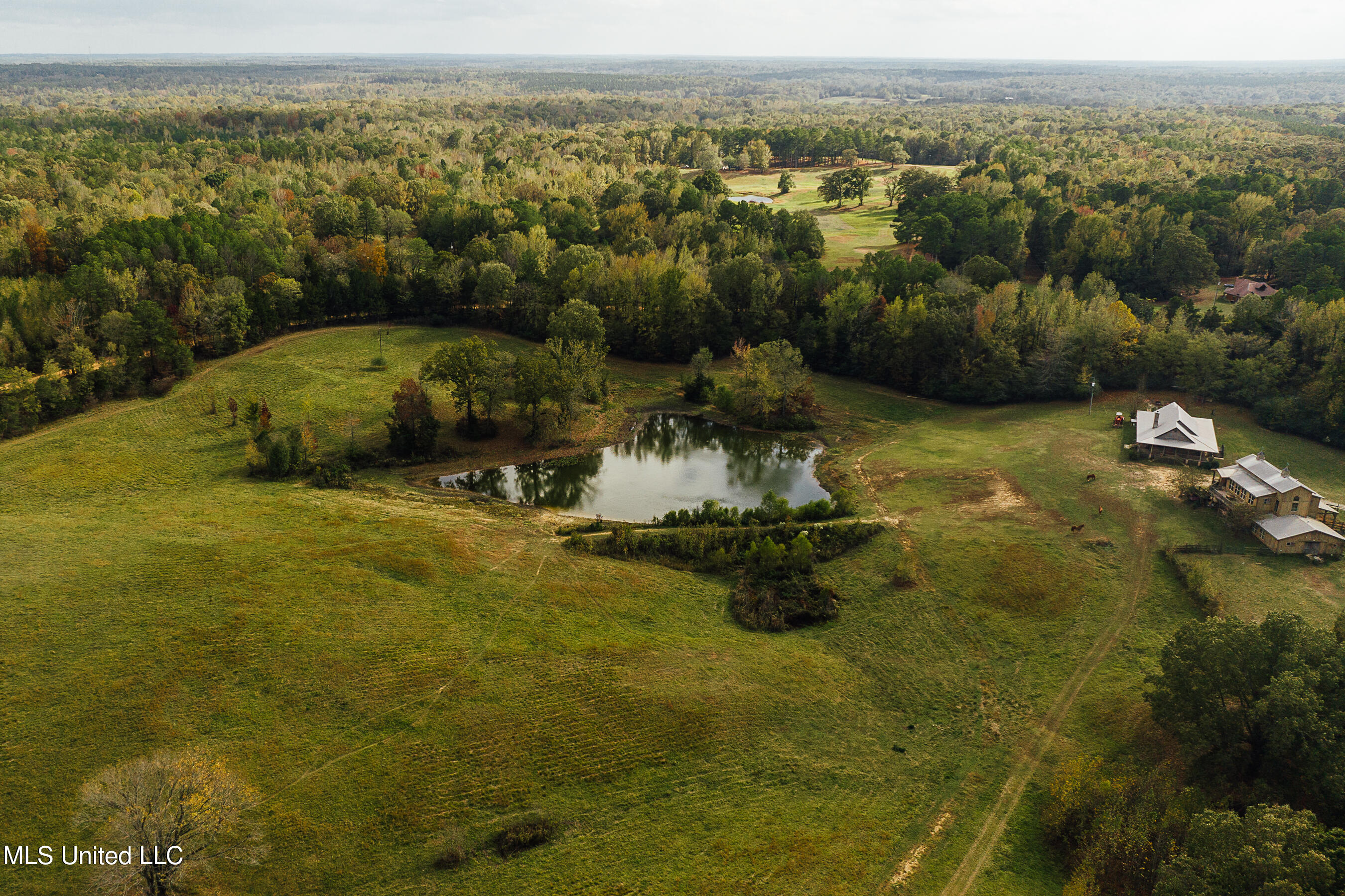 4600 Co Rd 23, Coila, Mississippi image 9