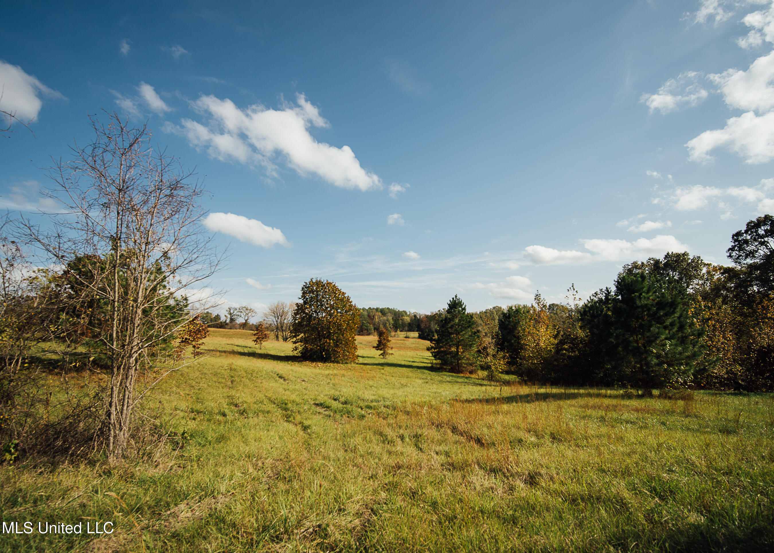 4600 Co Rd 23, Coila, Mississippi image 41