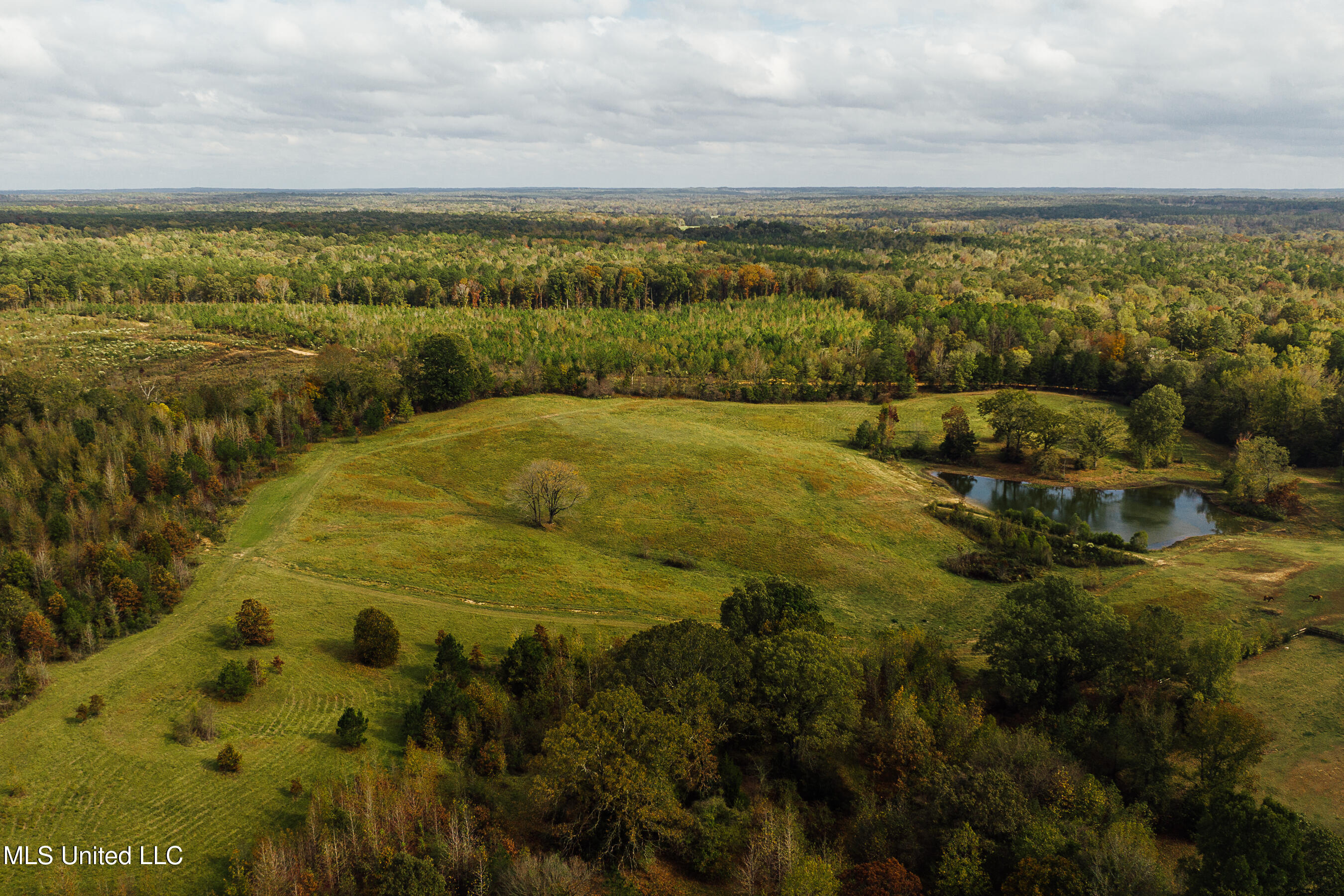 4600 Co Rd 23, Coila, Mississippi image 11