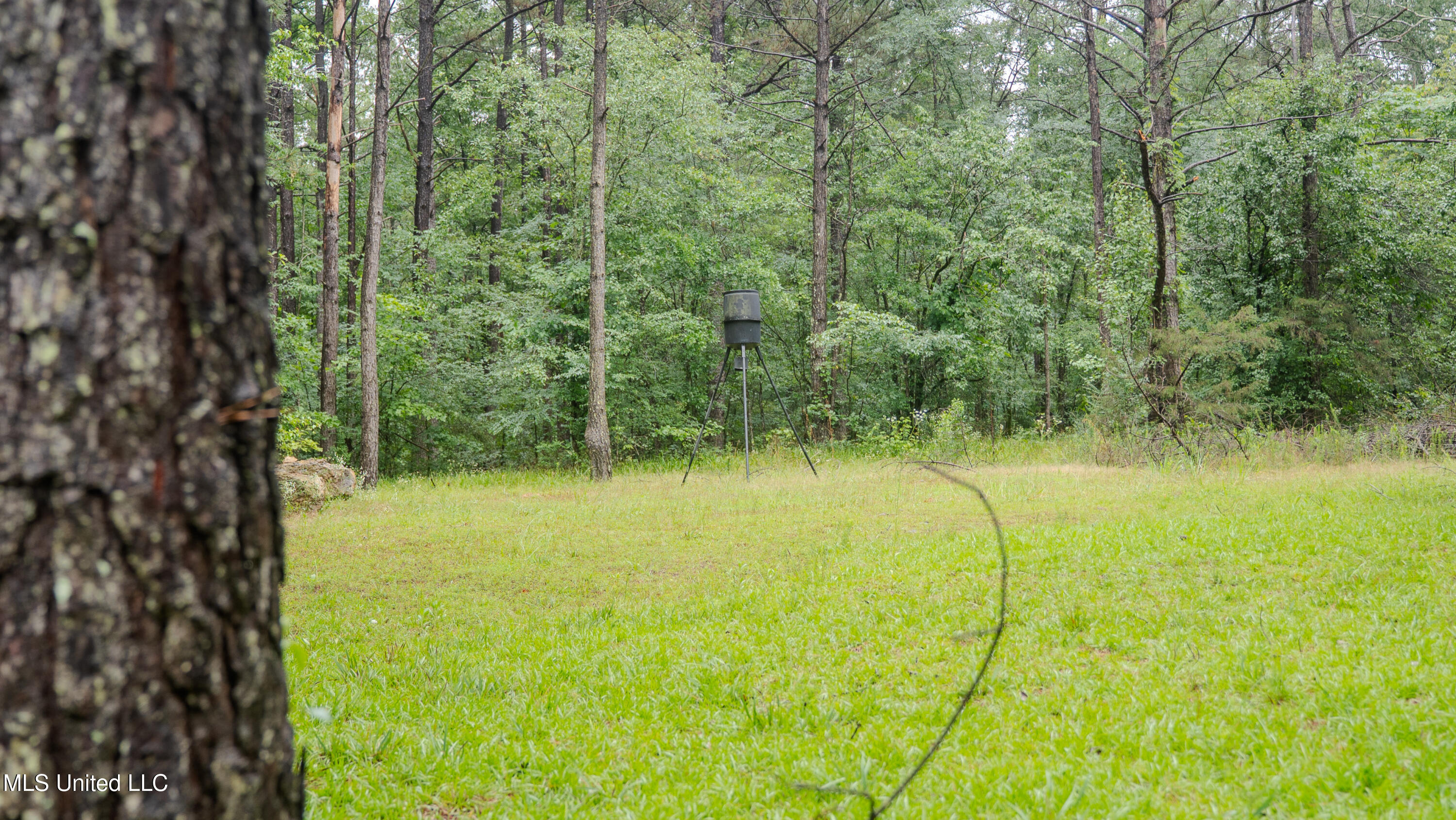 0000 Henderson Road, Jackson, Mississippi image 2