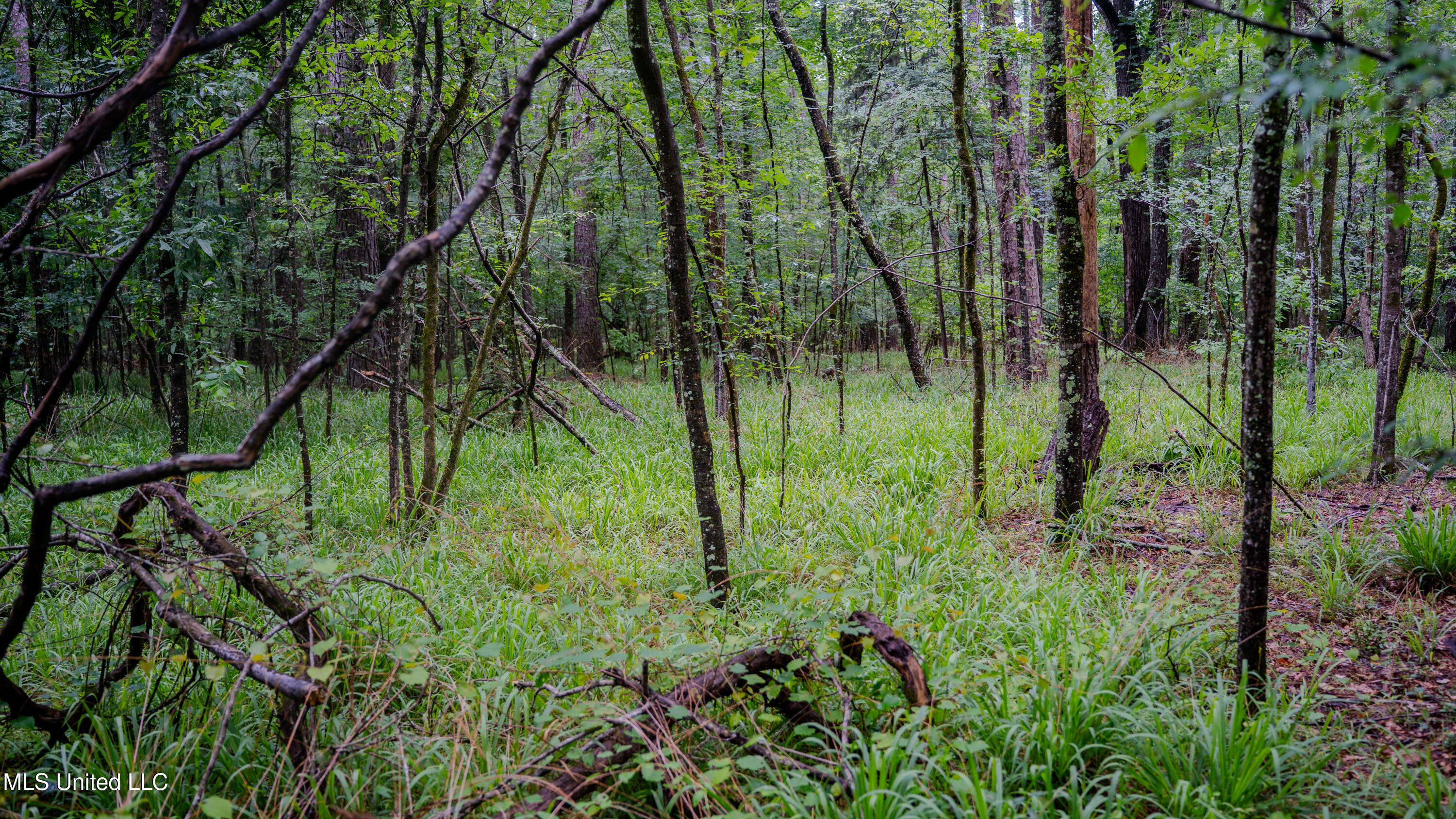 0000 Henderson Road, Jackson, Mississippi image 25