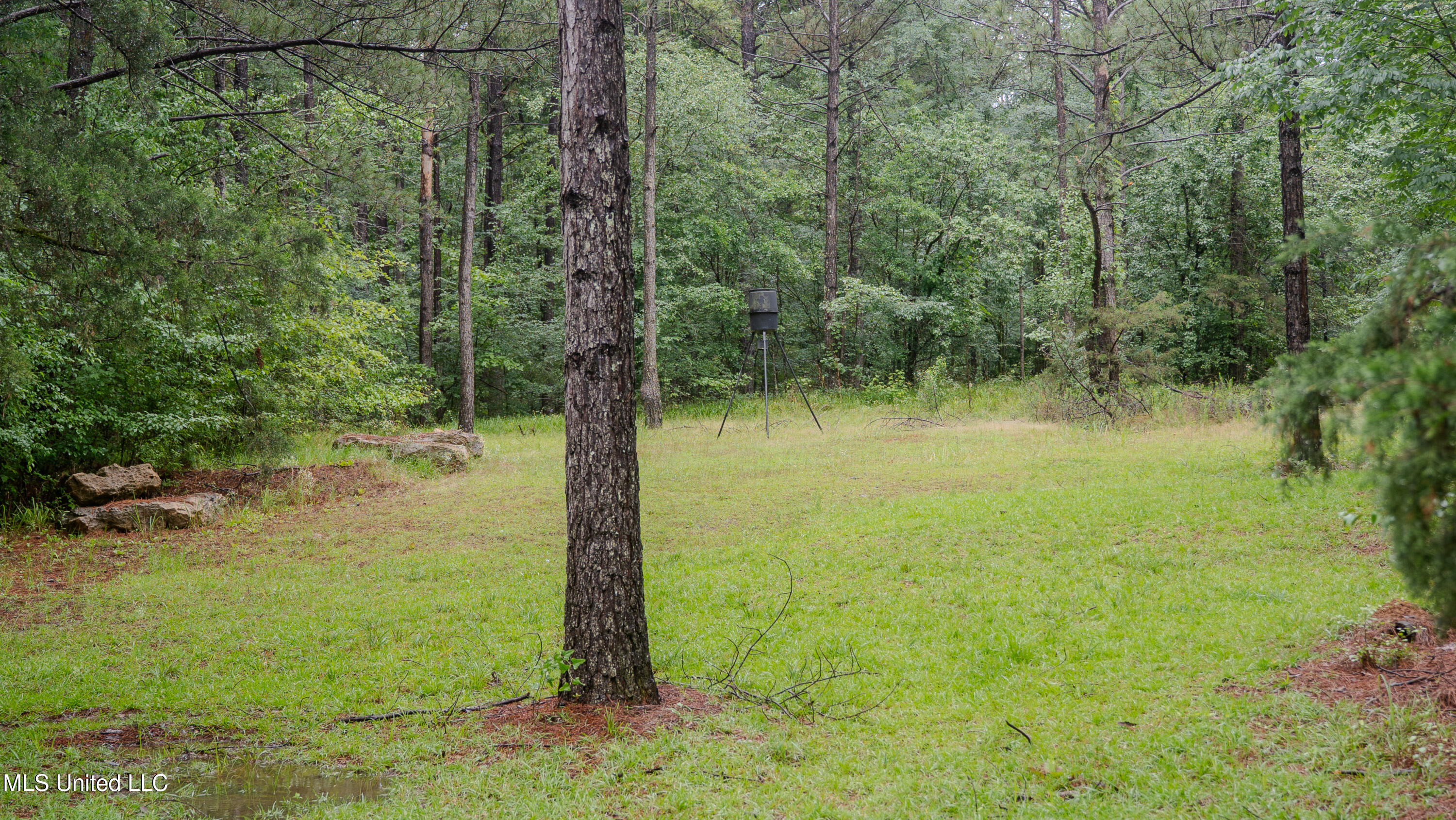 0000 Henderson Road, Jackson, Mississippi image 3