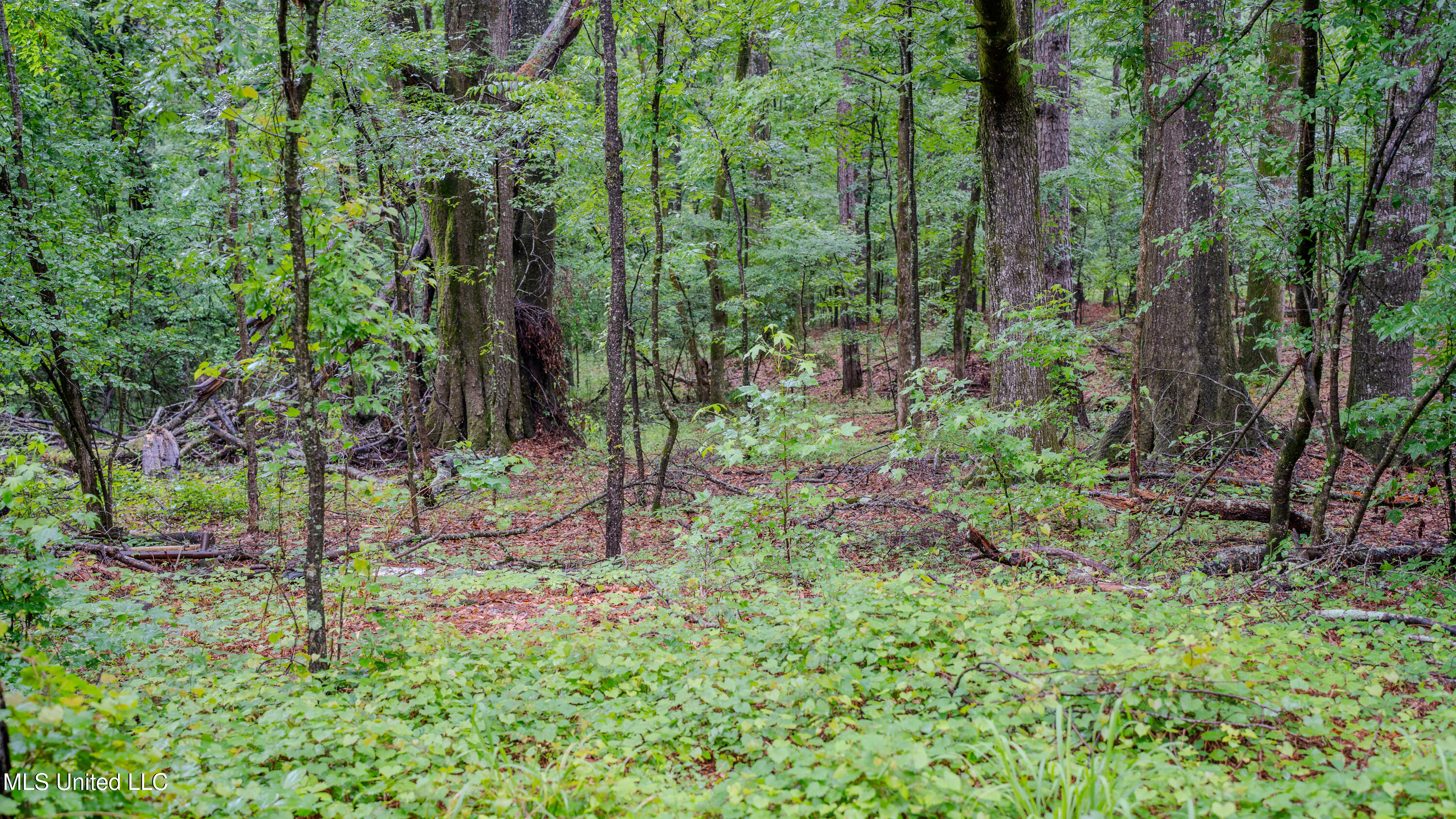 0000 Henderson Road, Jackson, Mississippi image 4