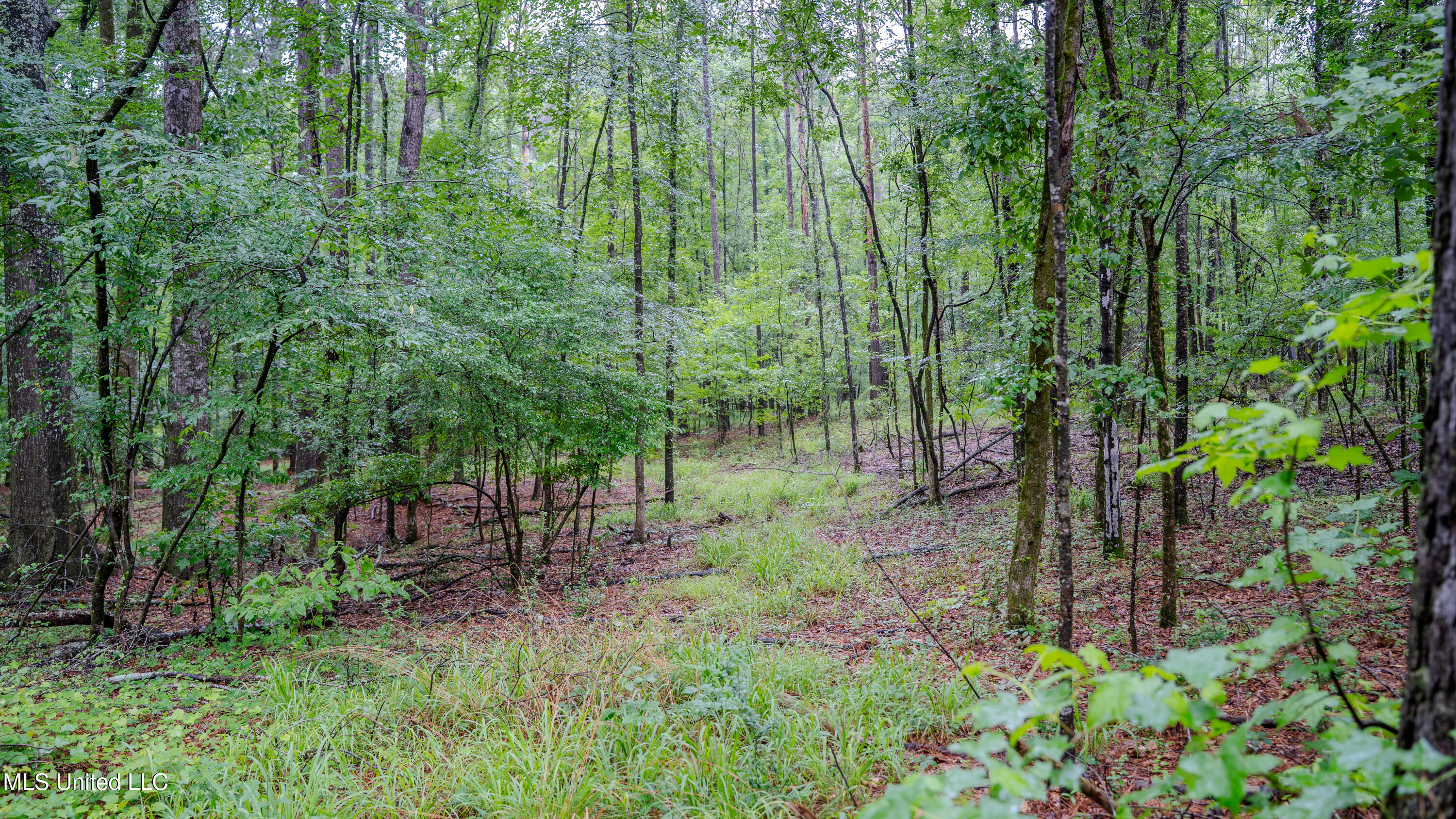 0000 Henderson Road, Jackson, Mississippi image 5