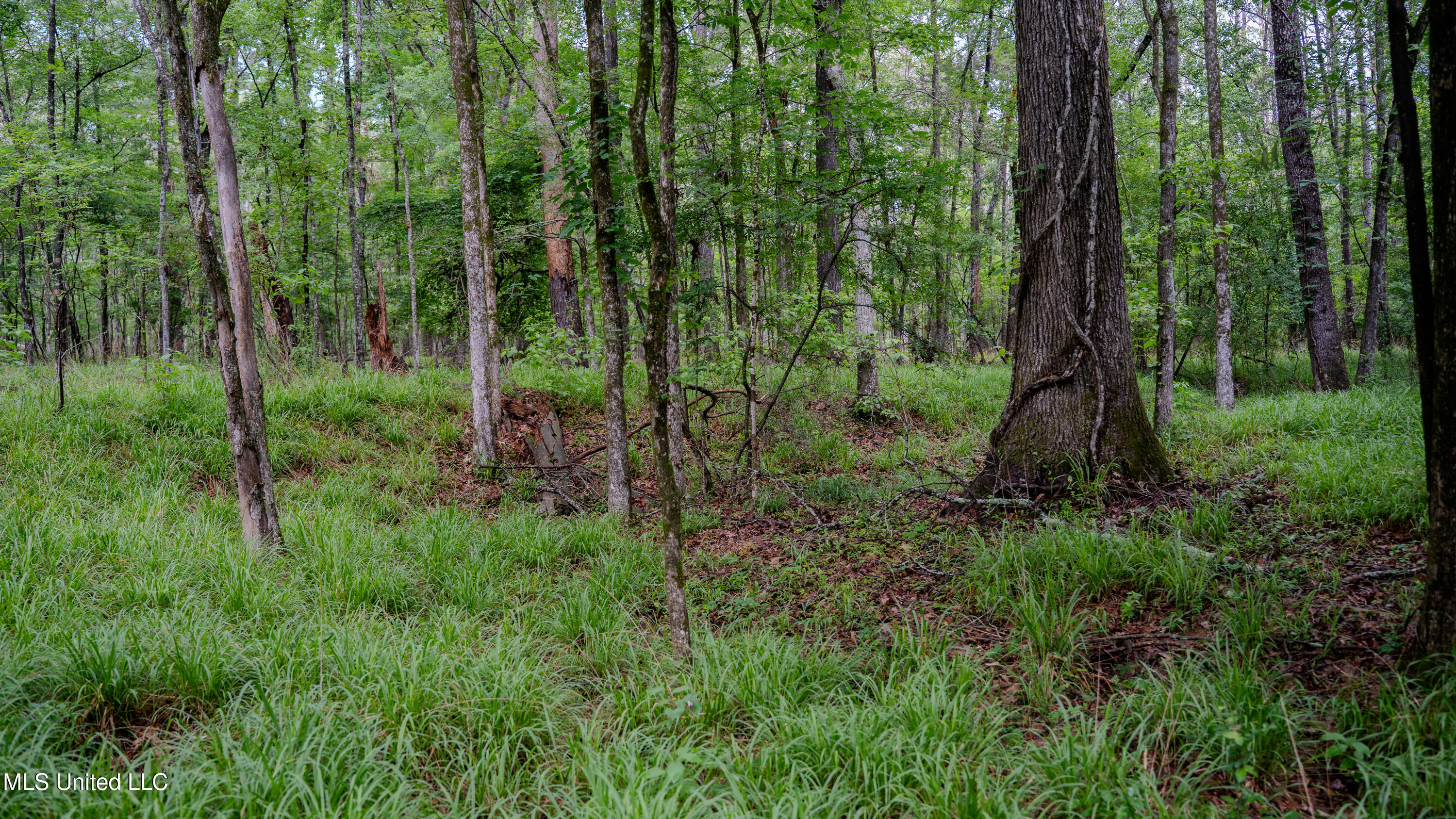 0000 Henderson Road, Jackson, Mississippi image 29