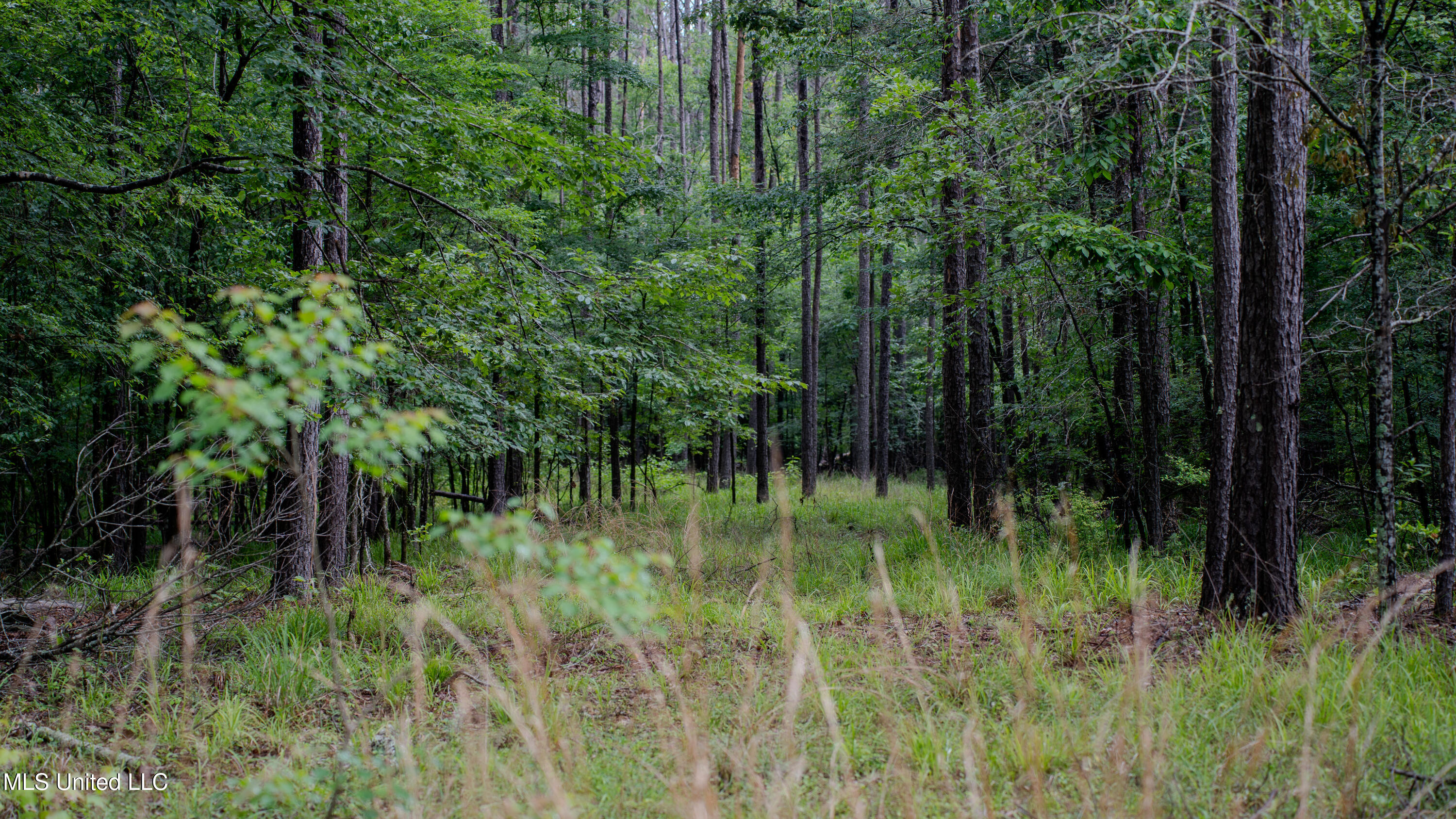 0000 Henderson Road, Jackson, Mississippi image 33