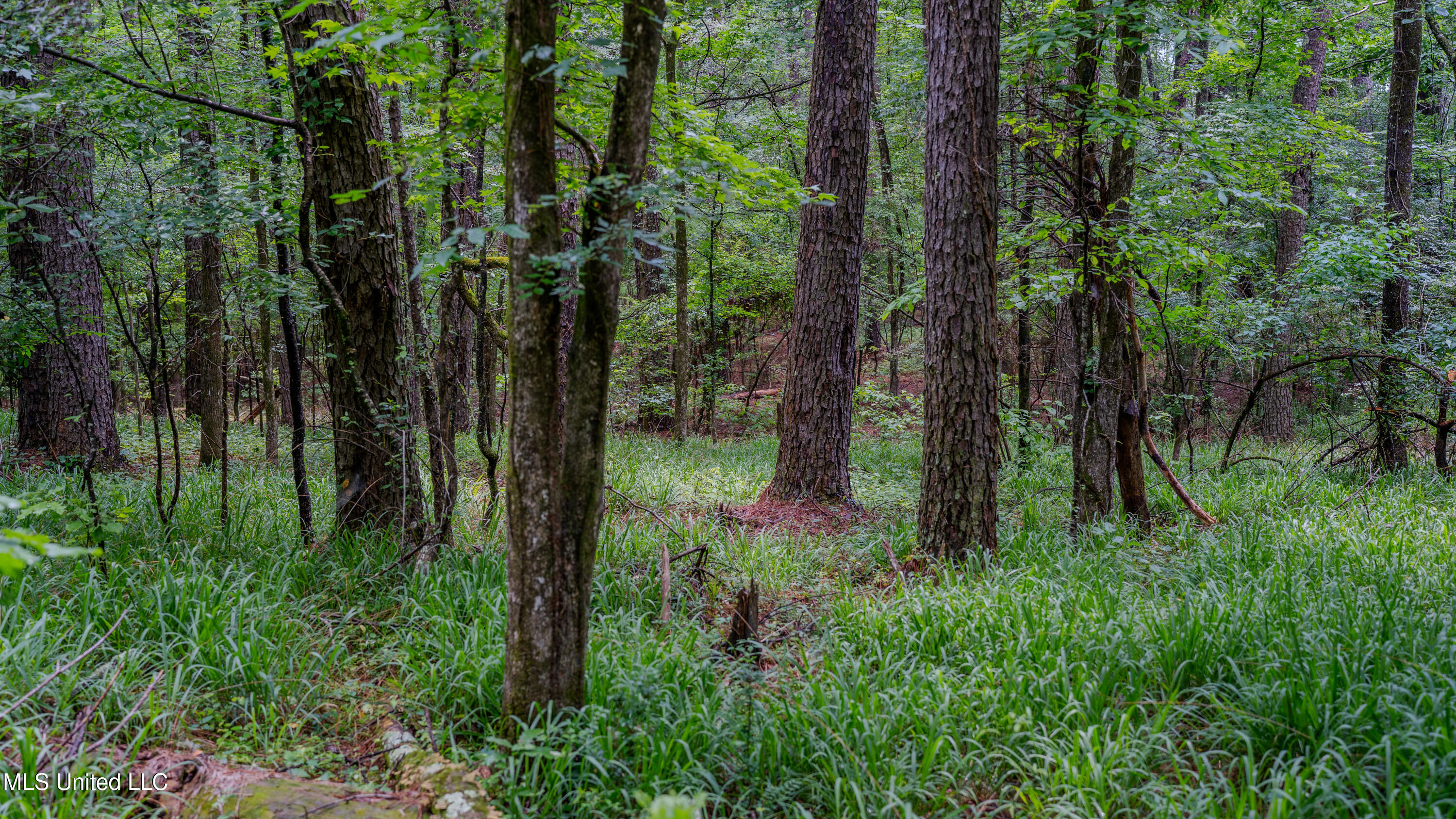 0000 Henderson Road, Jackson, Mississippi image 26