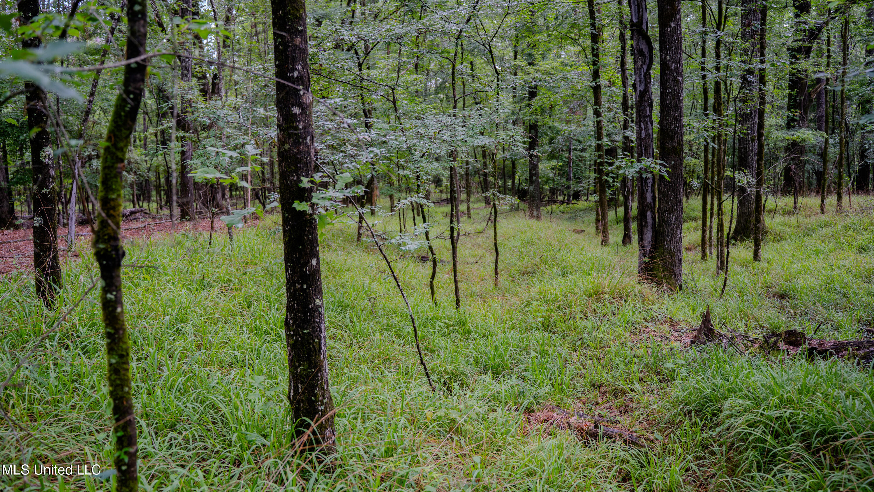 0000 Henderson Road, Jackson, Mississippi image 31