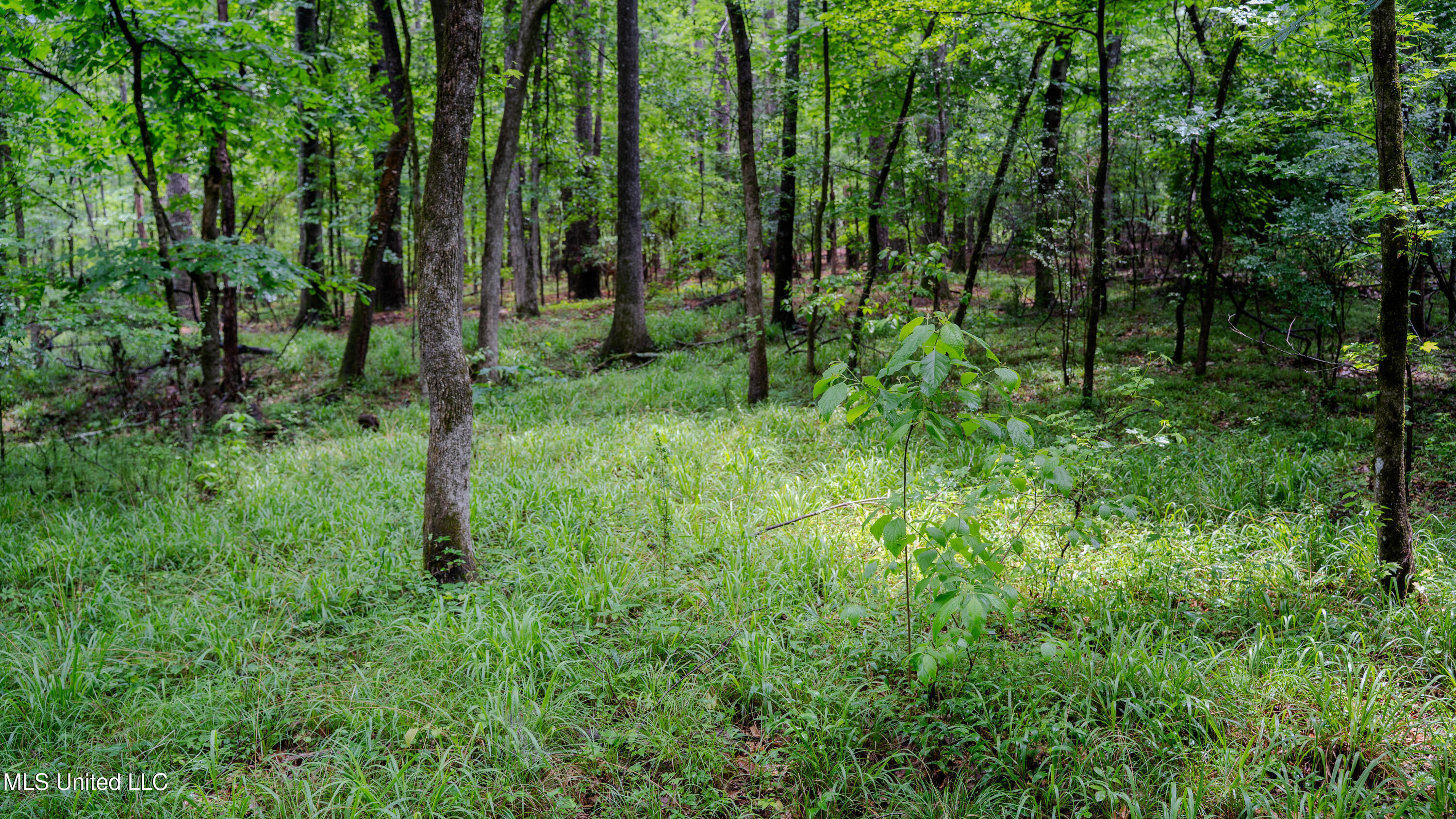 0000 Henderson Road, Jackson, Mississippi image 11