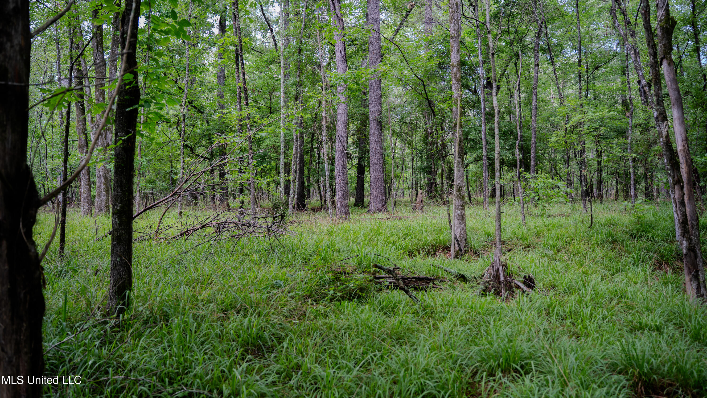 0000 Henderson Road, Jackson, Mississippi image 28