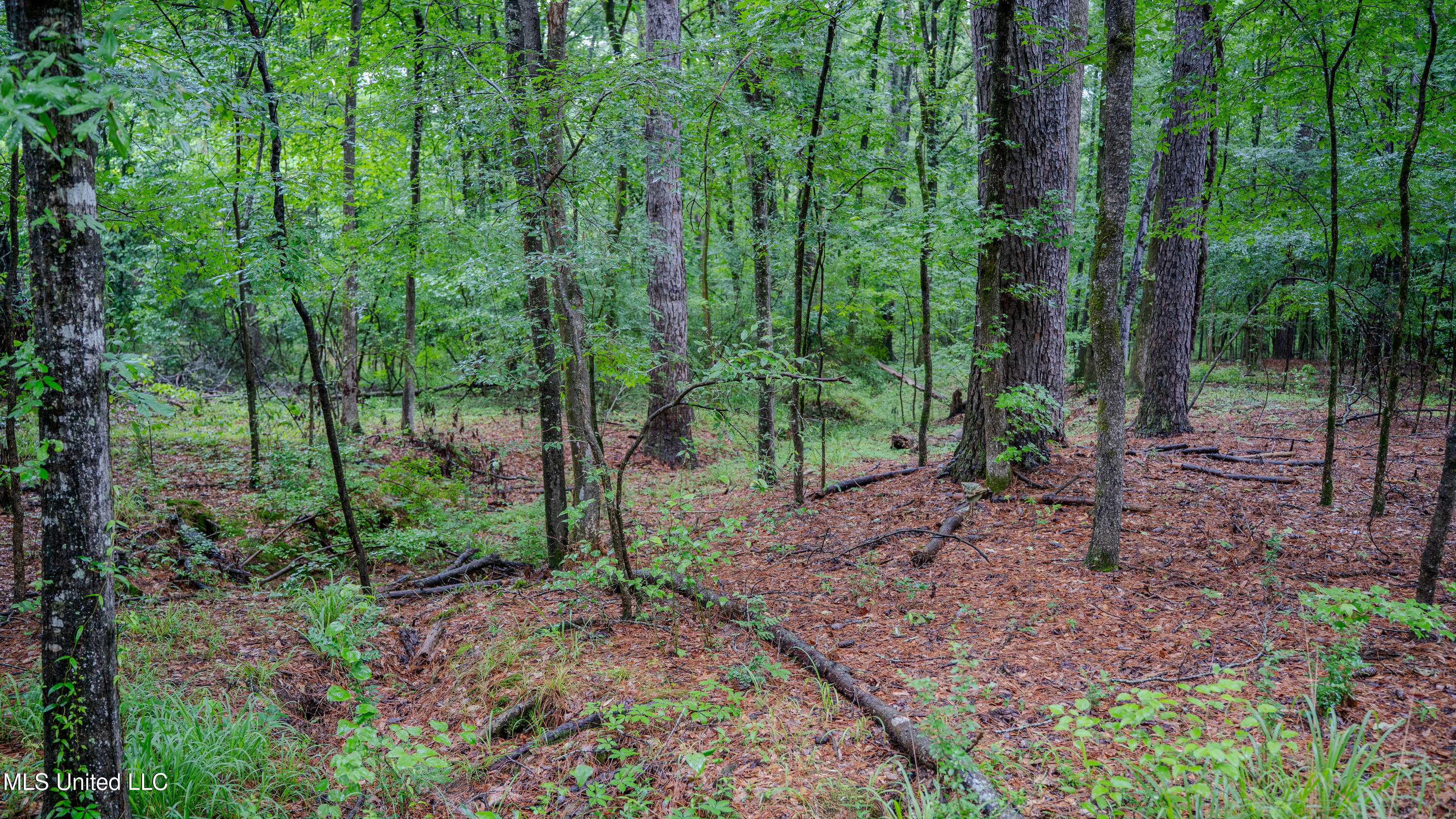 0000 Henderson Road, Jackson, Mississippi image 6