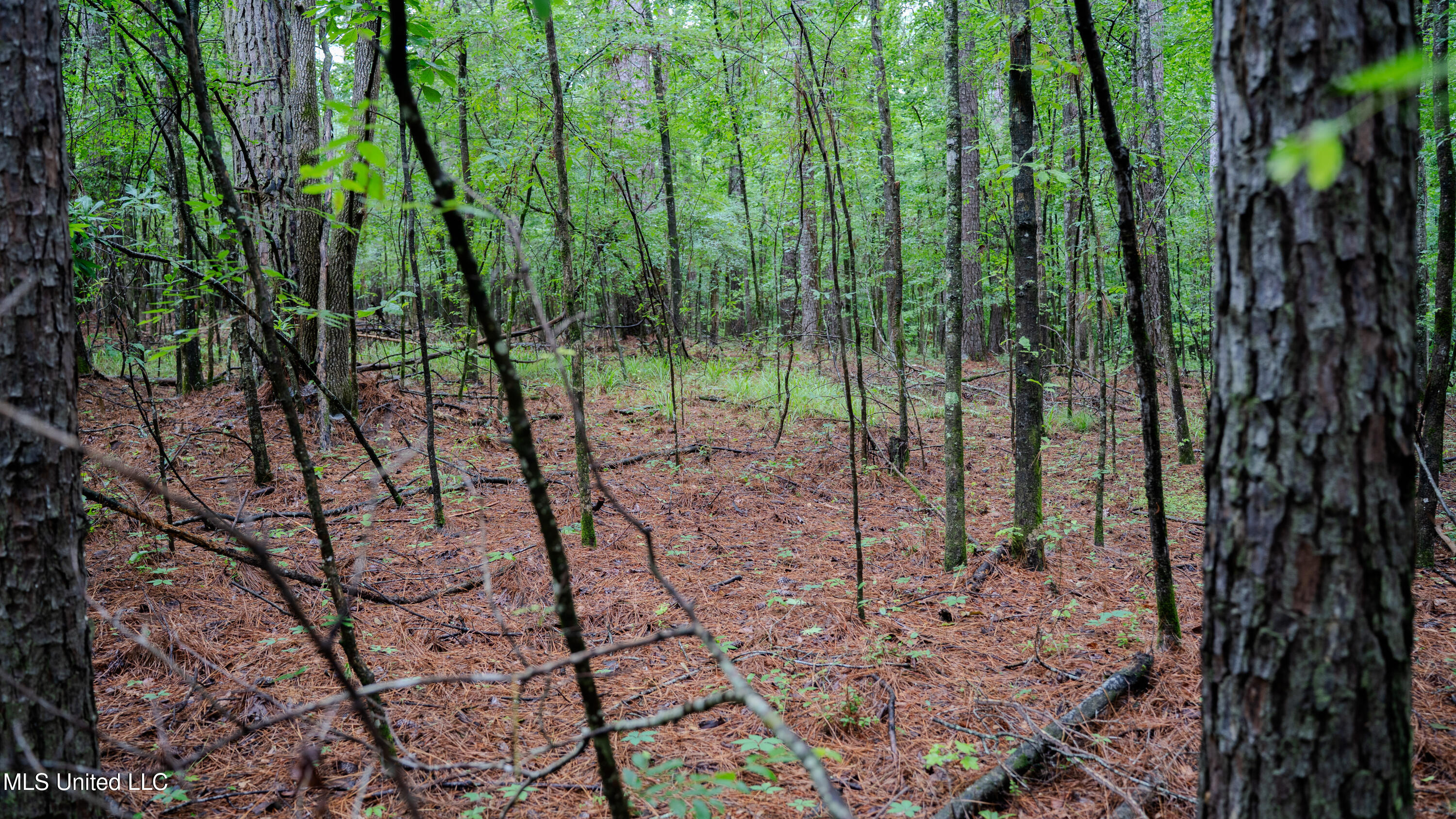 0000 Henderson Road, Jackson, Mississippi image 12
