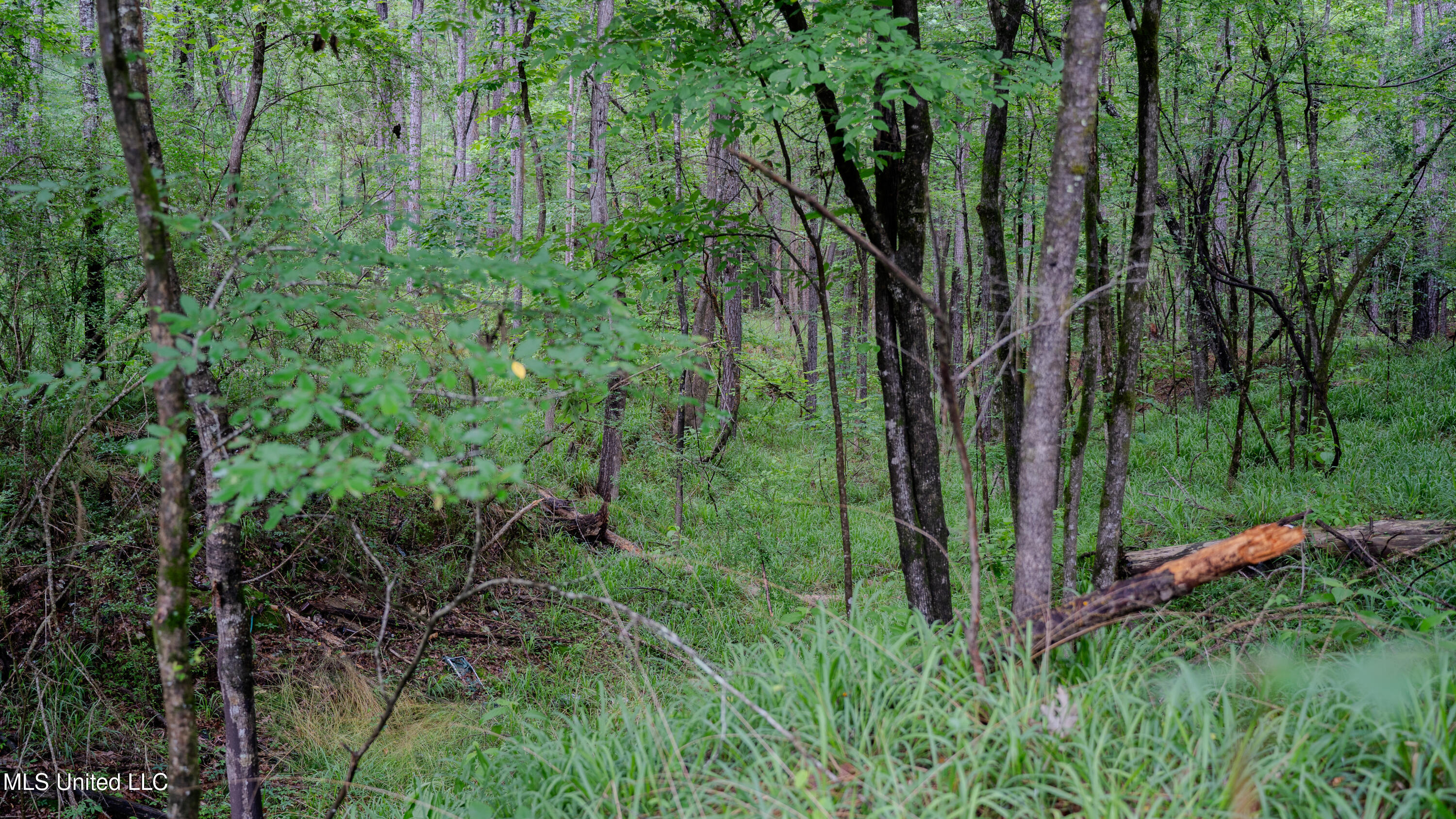 0000 Henderson Road, Jackson, Mississippi image 36