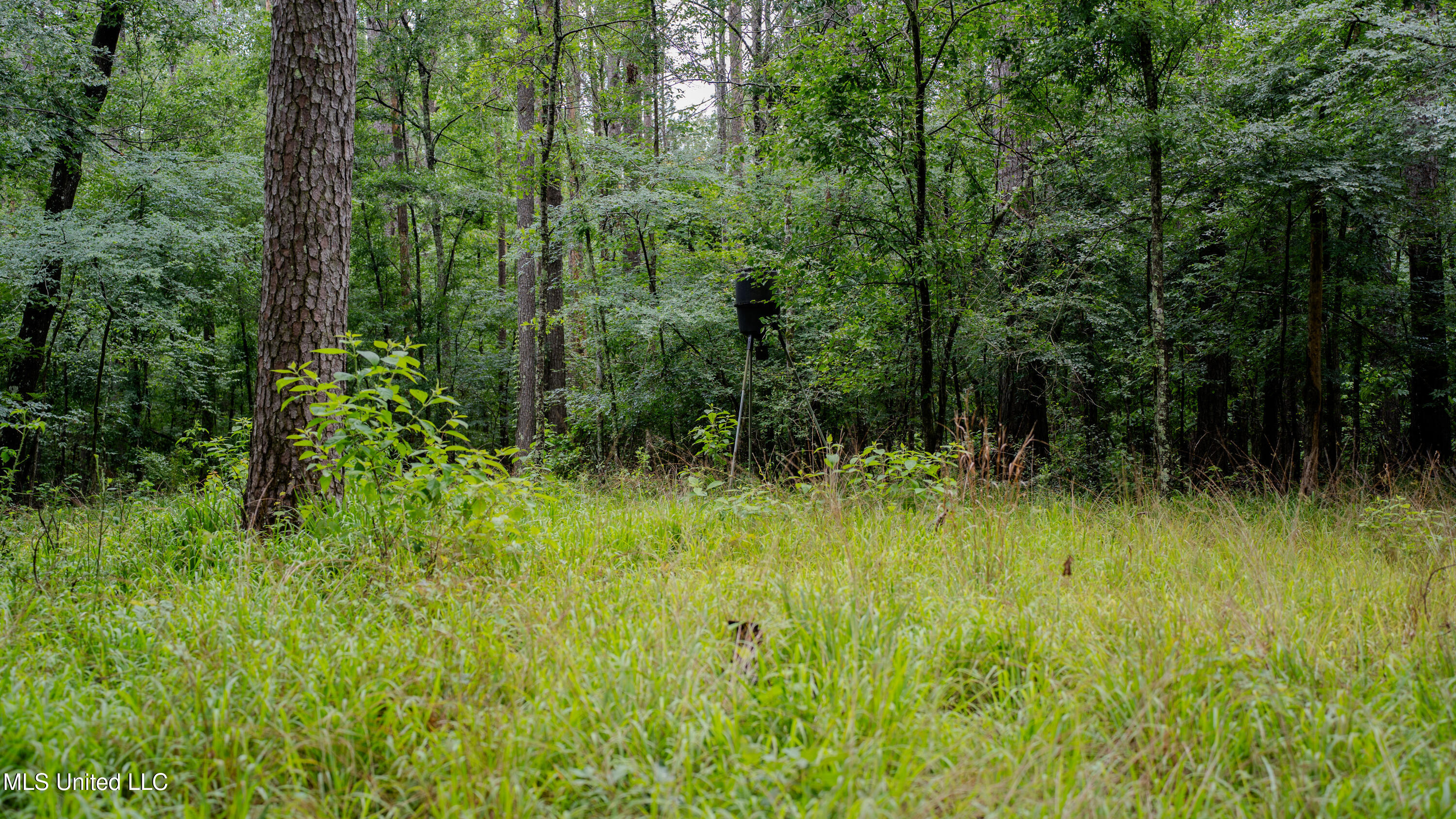 0000 Henderson Road, Jackson, Mississippi image 21