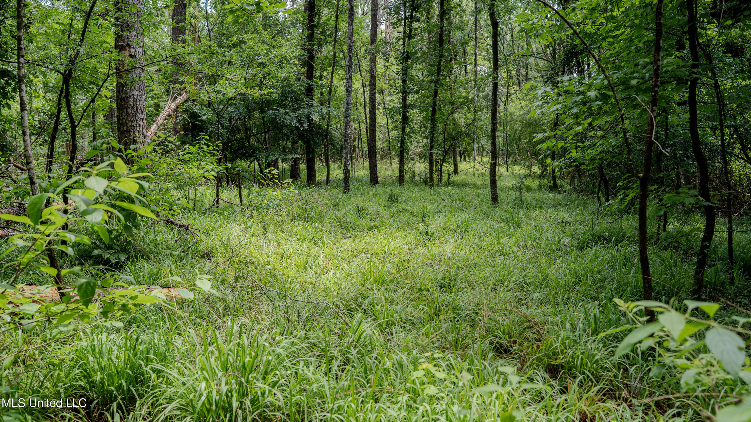 0000 Henderson Road, Jackson, Mississippi image 27